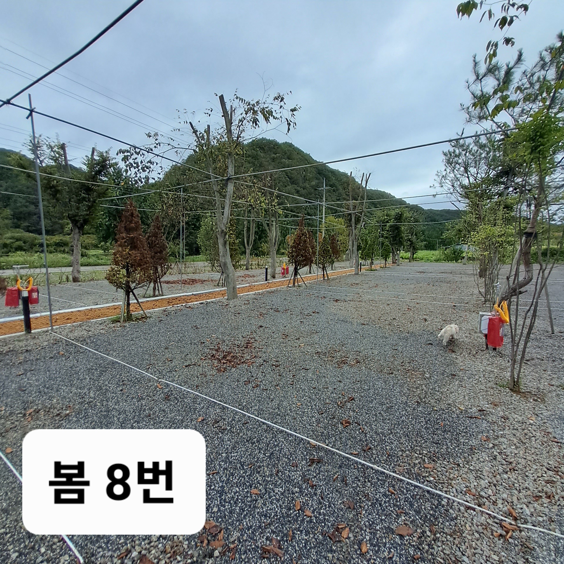 옥화포시즌캠핑장