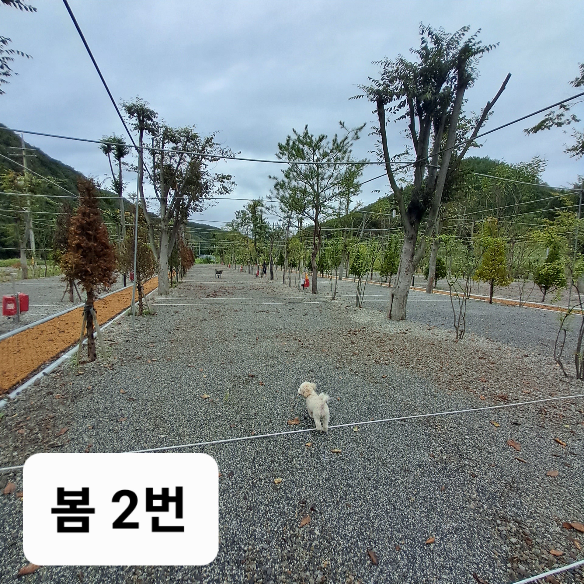 옥화포시즌캠핑장