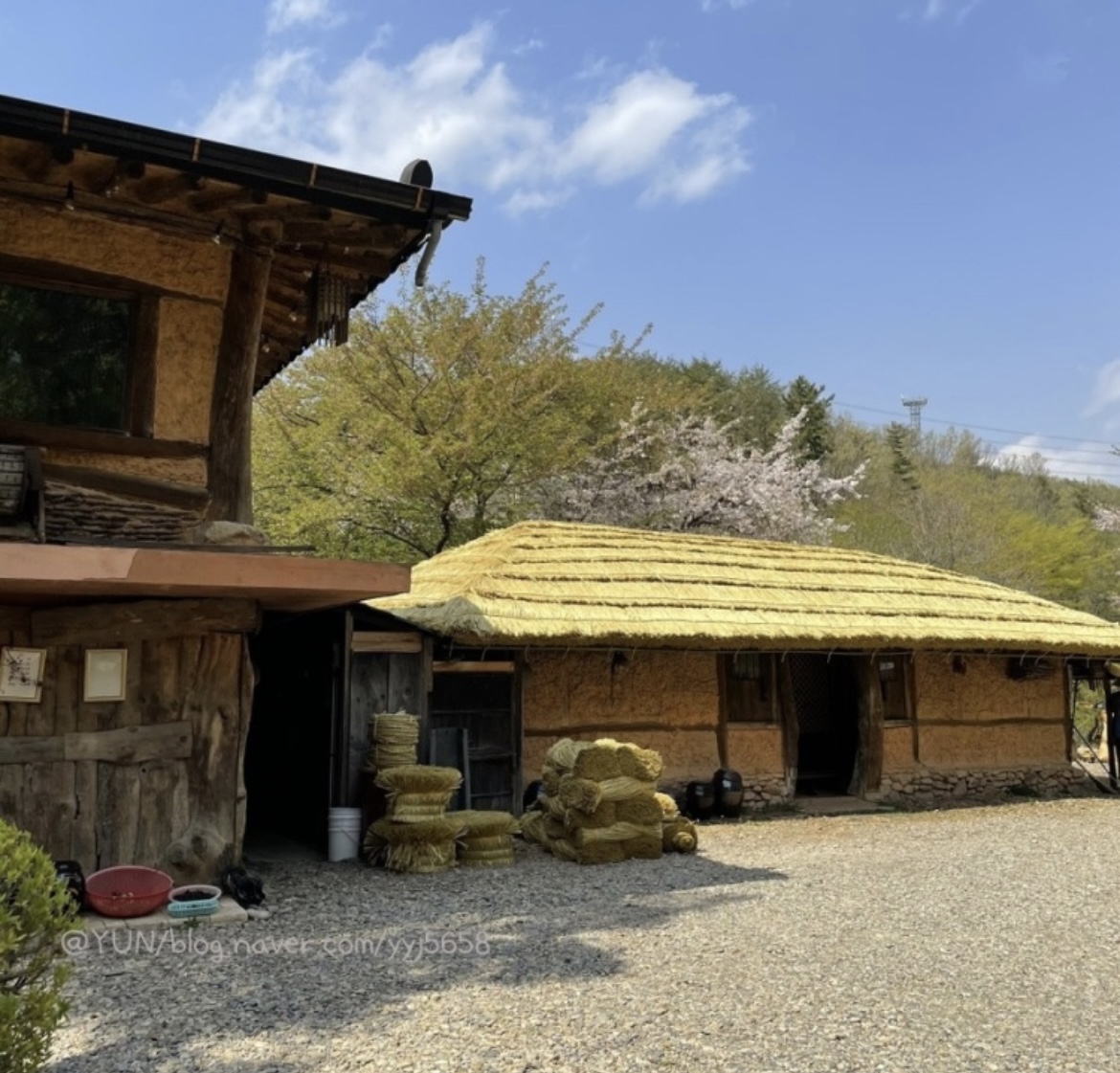 요산요수