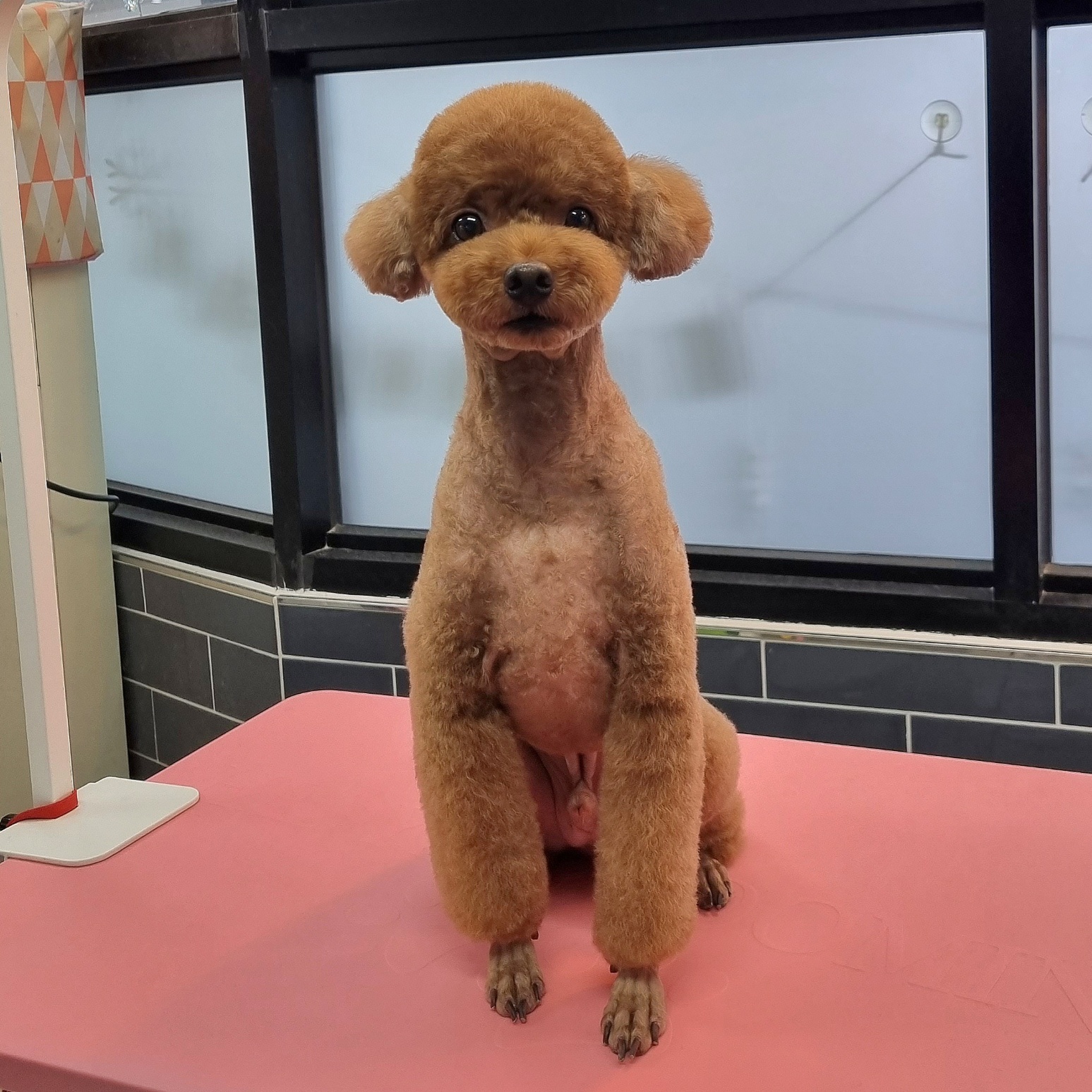 뽁식당 부천점 2
