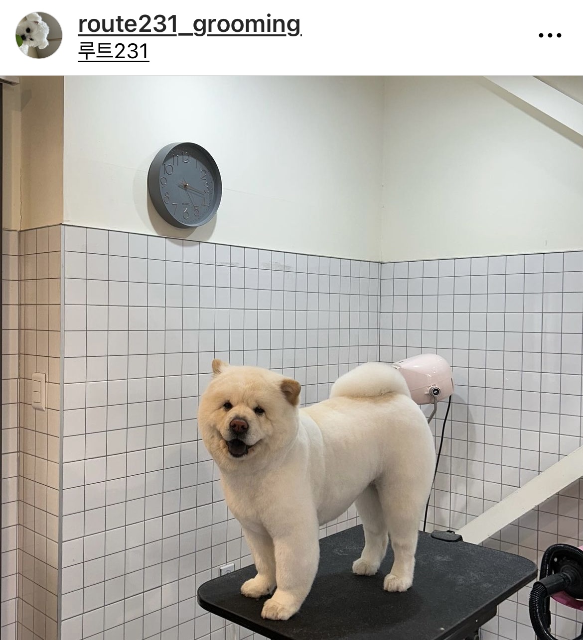 루트231 대표 이미지