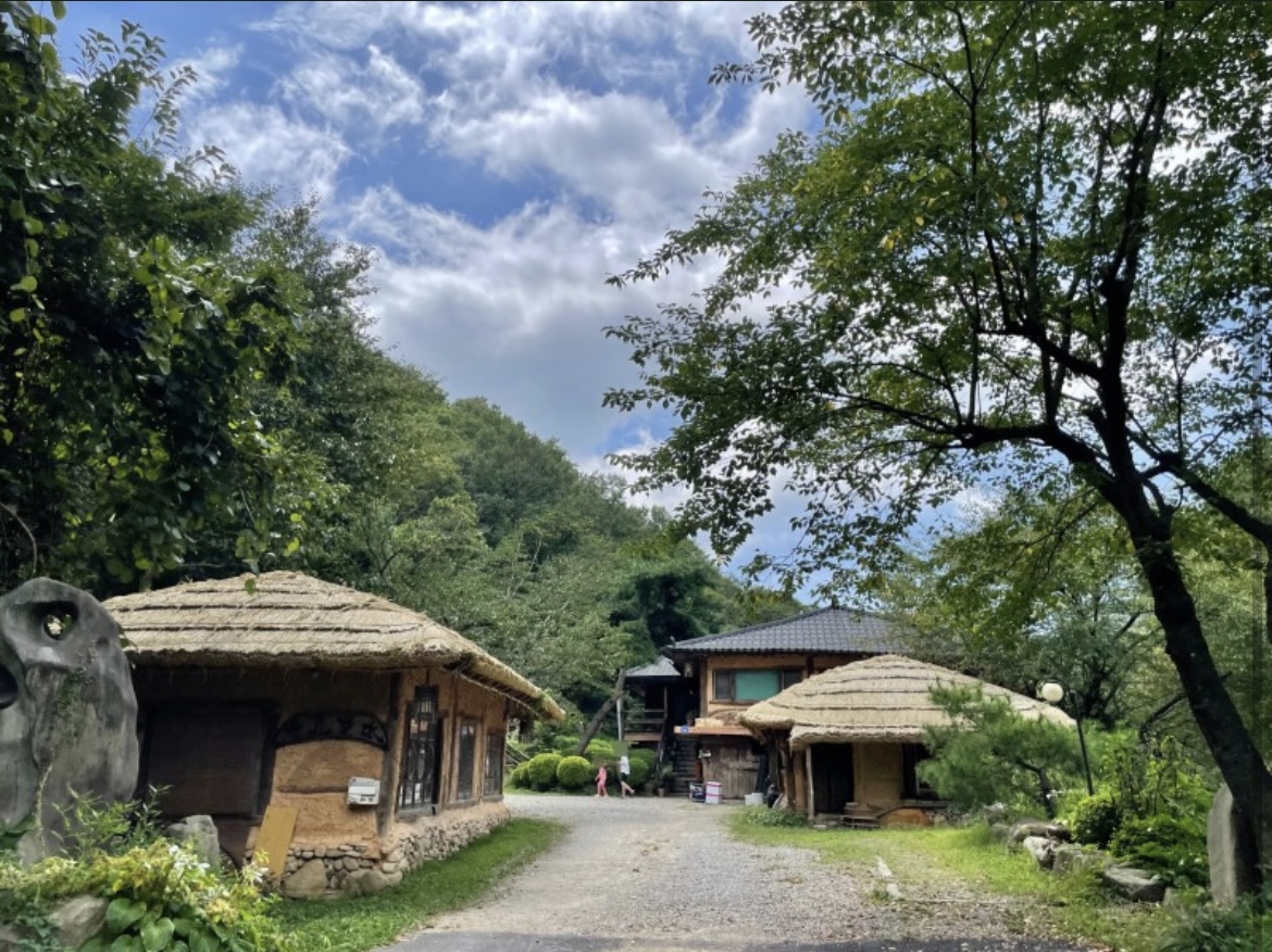요산요수 반려동물 동반 애견카페