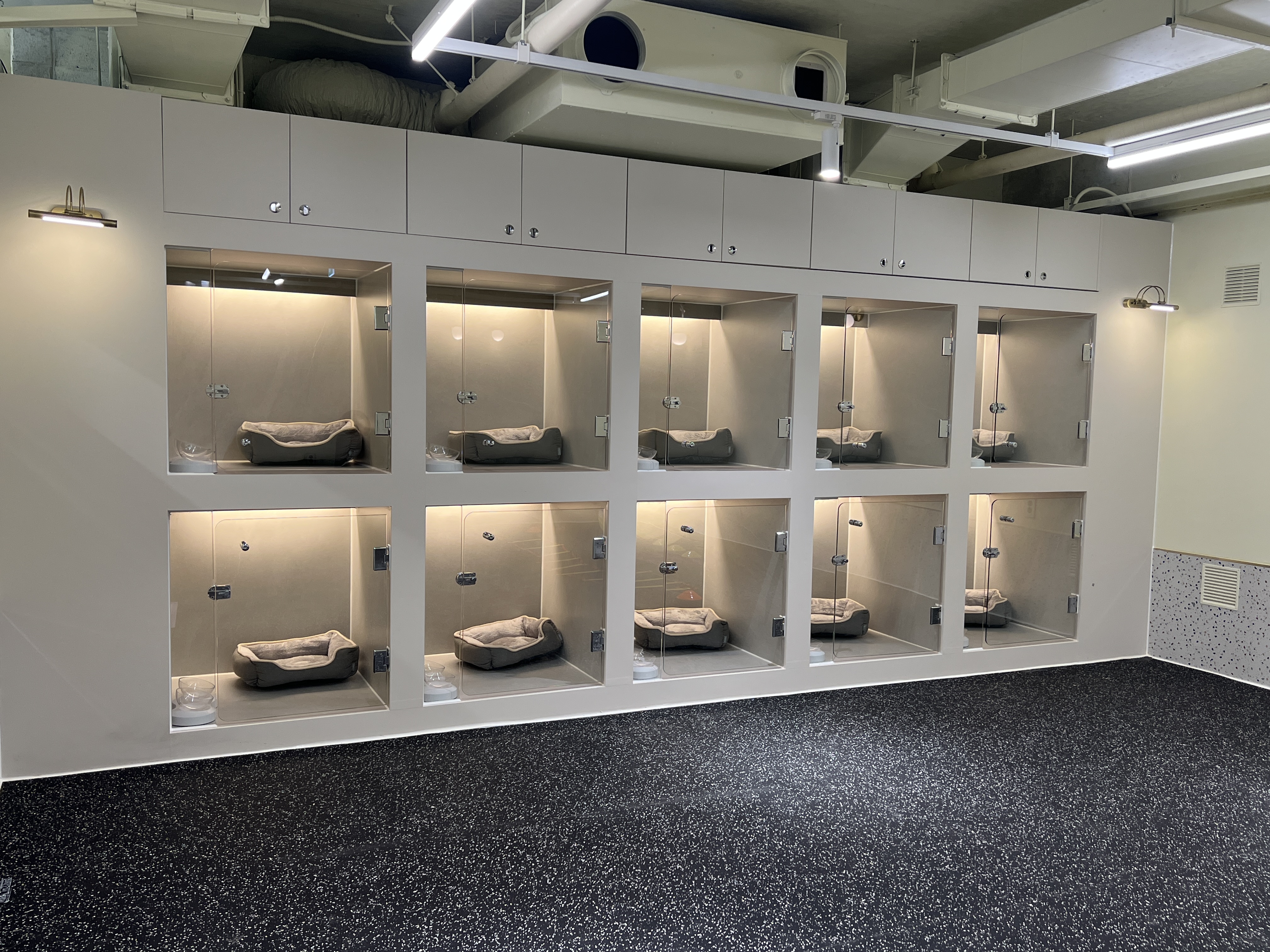 킁킁킁애견유치원&호텔 대표 이미지