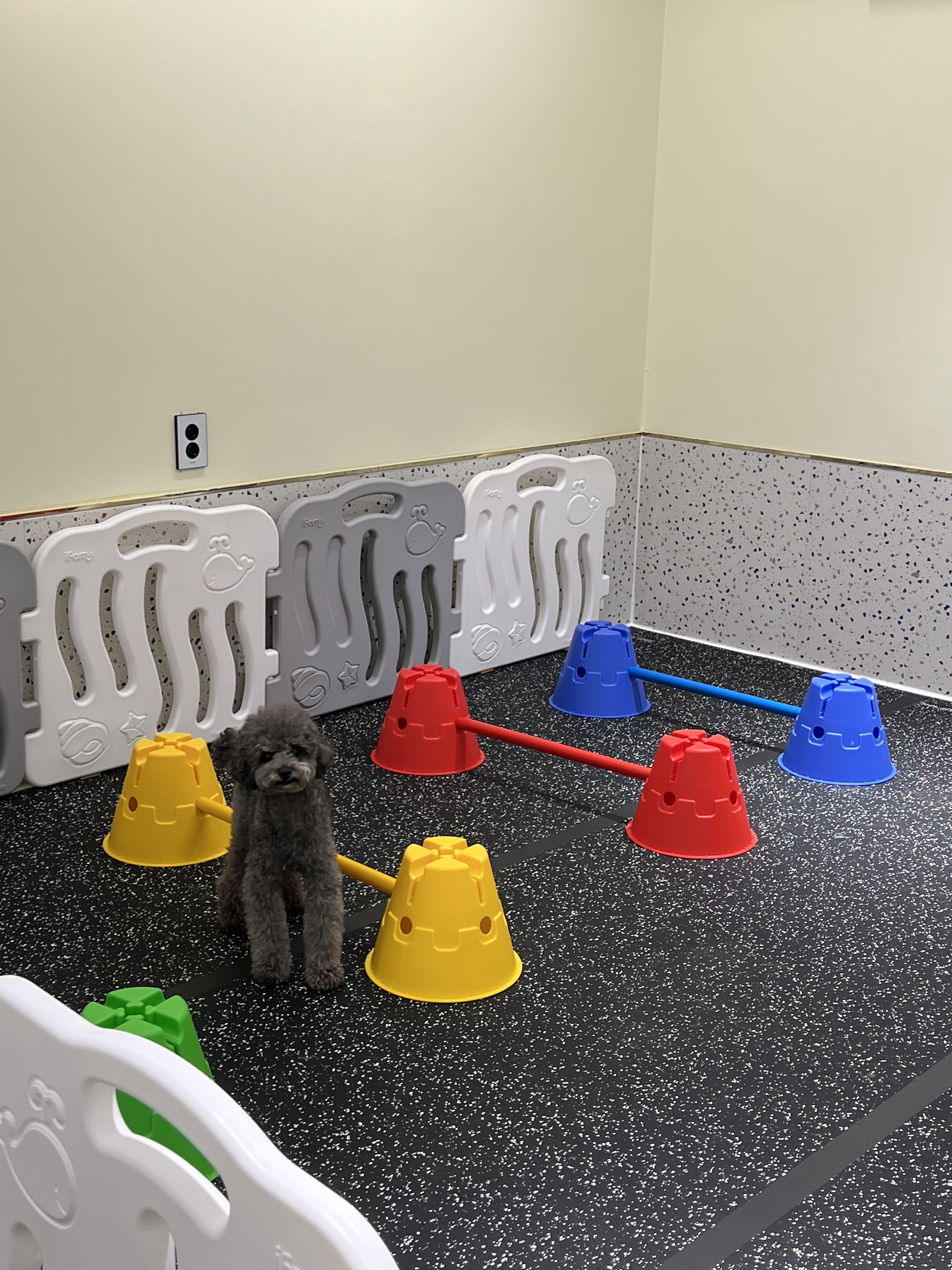 킁킁킁 대표 이미지