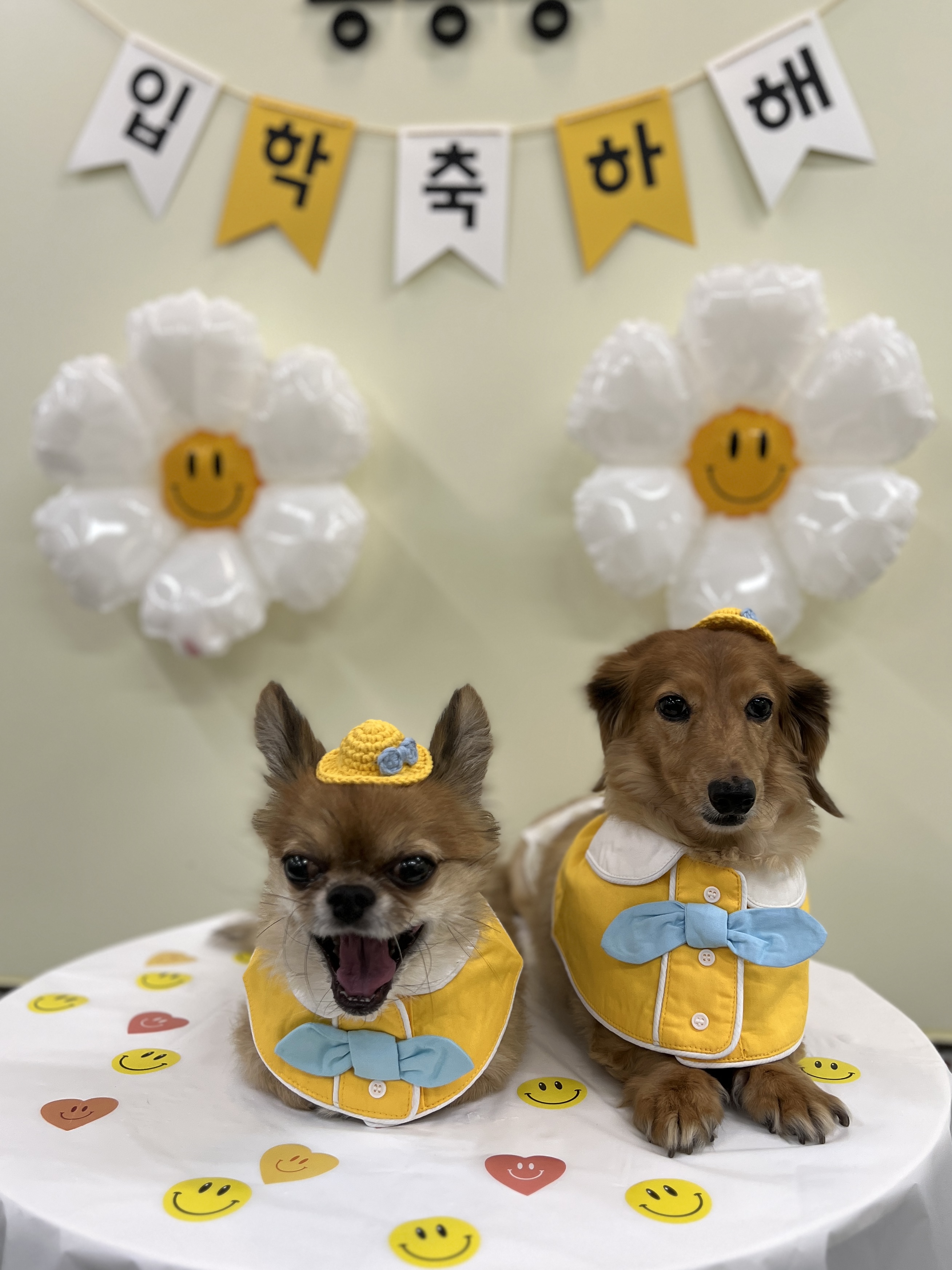 킁킁킁애견유치원&호텔 내부 이미지