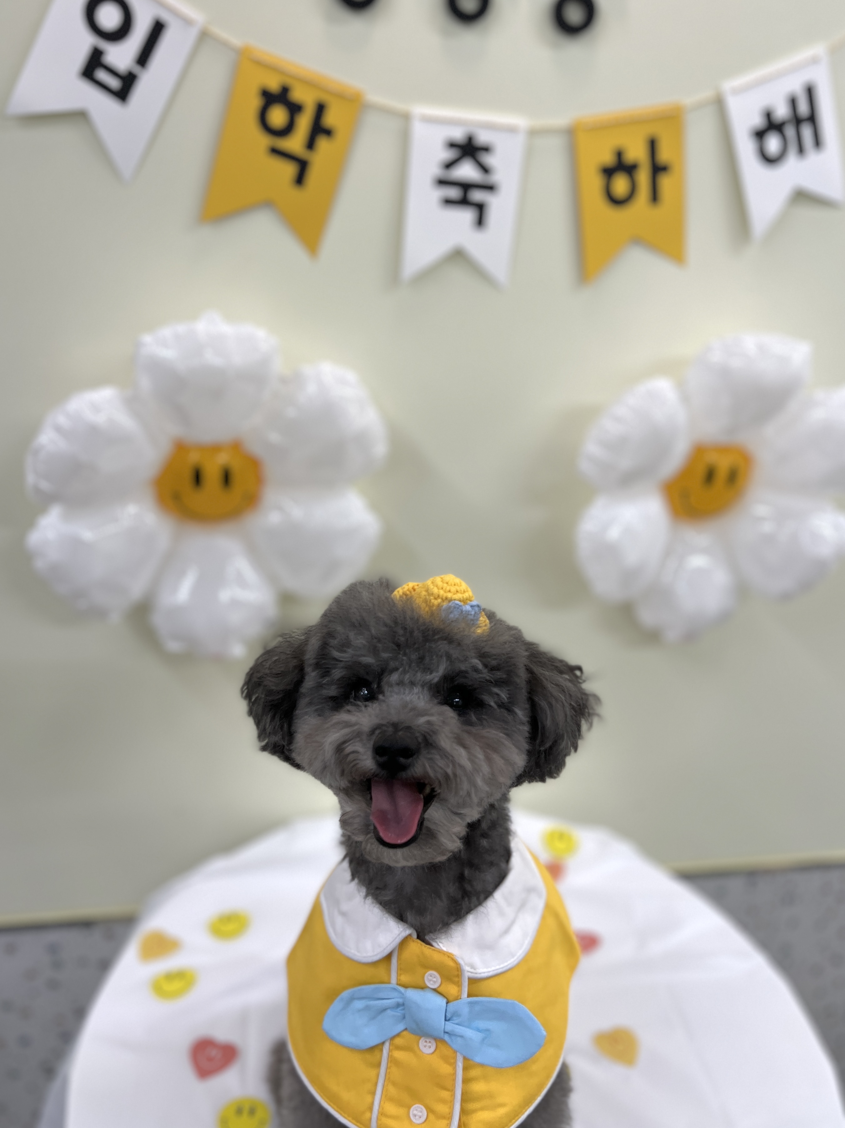 킁킁킁애견유치원&호텔 대표 이미지