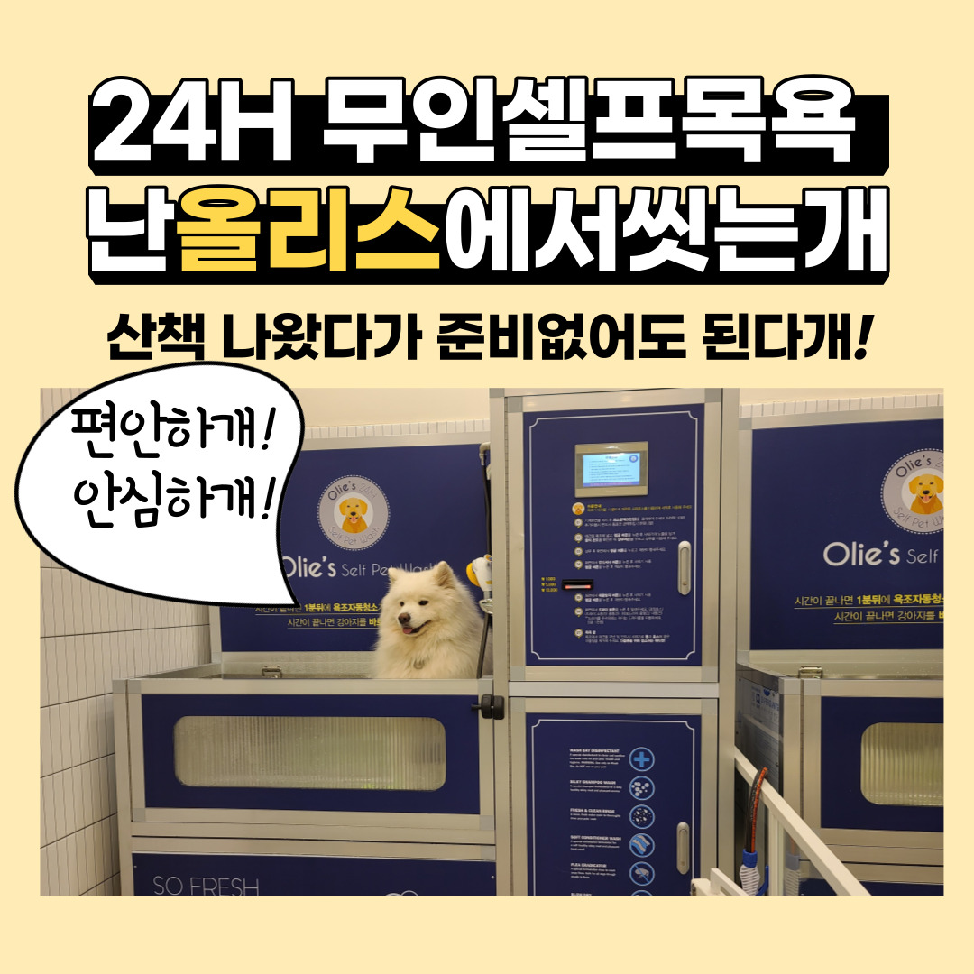 올리스24 금정점