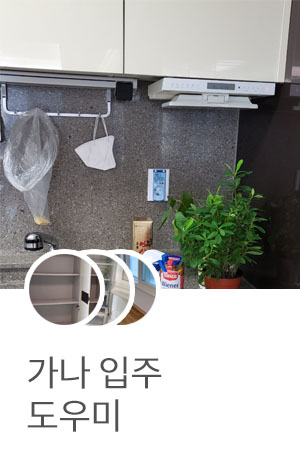 가나파출부