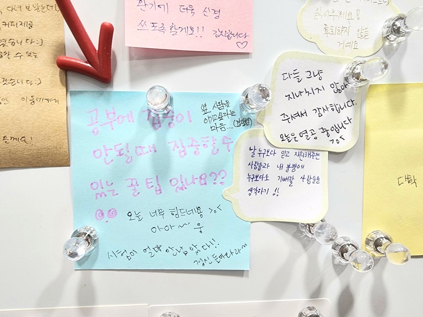 업체사진