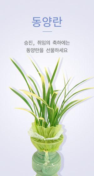 대구화환배달전문점