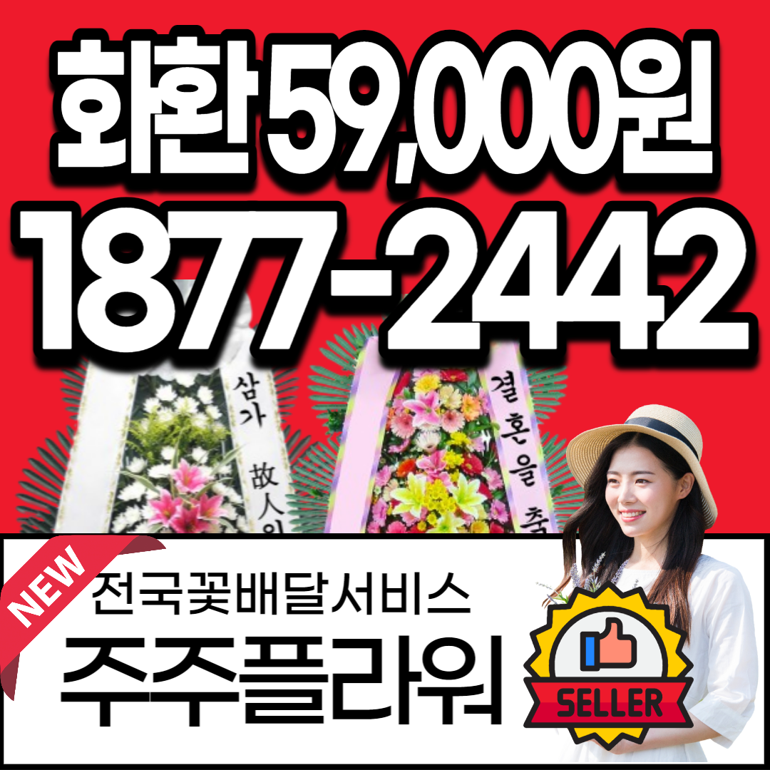 대구화환배달전문점