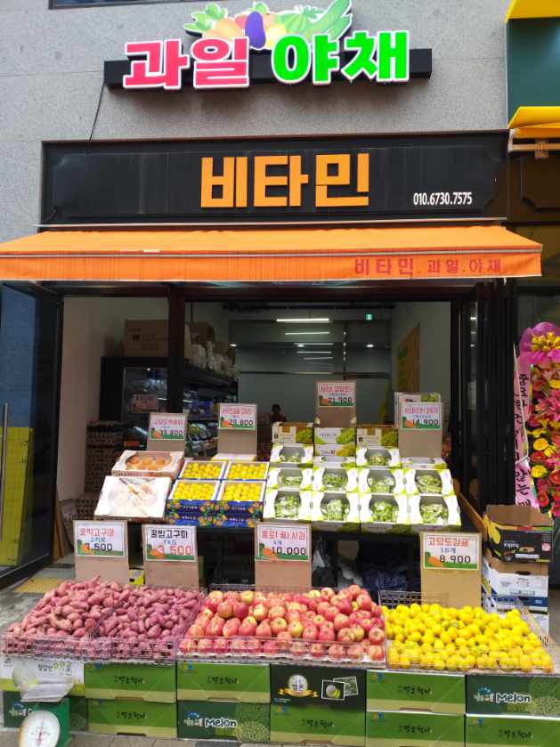 비타민과일,야채