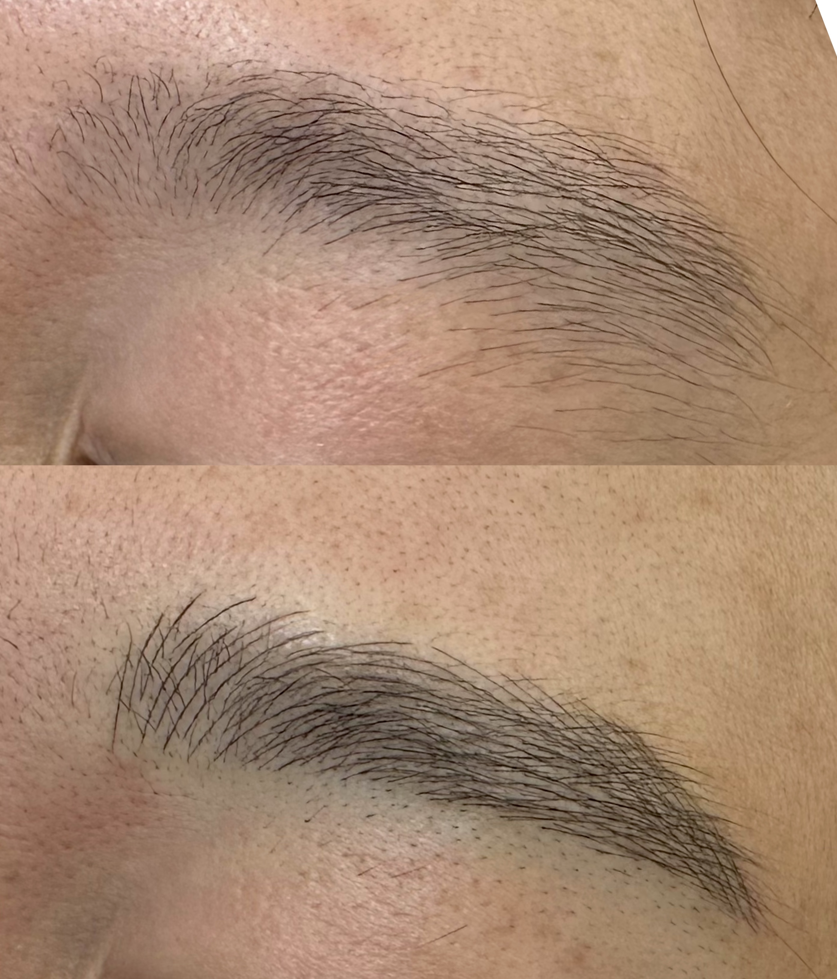 307눈썹 대표 이미지