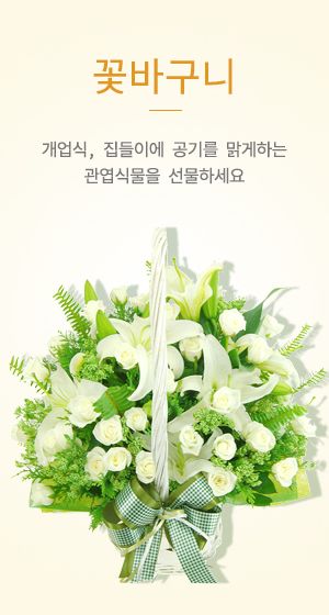 대구화환배달전문점