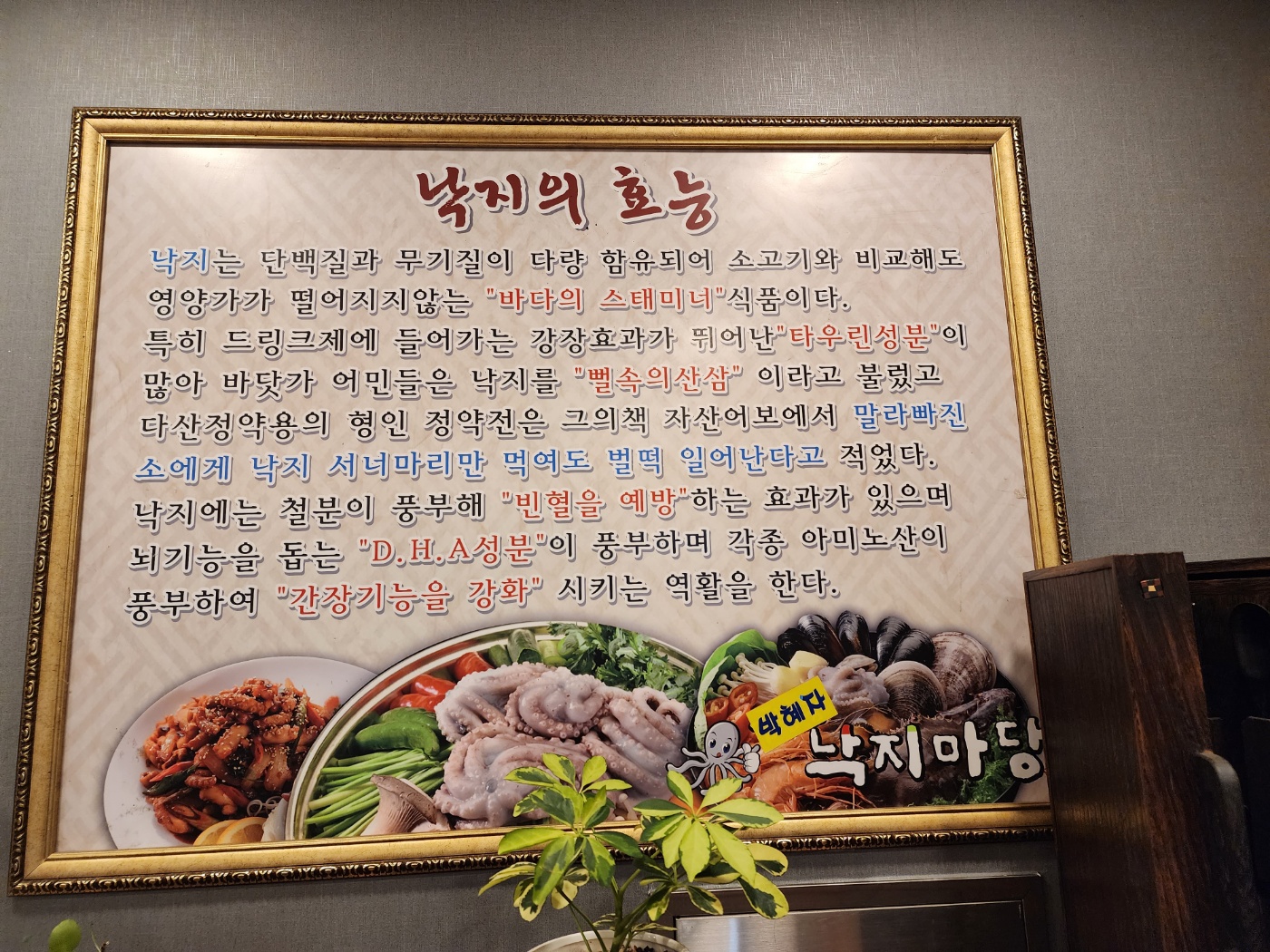박혜자낙지마당 향남점