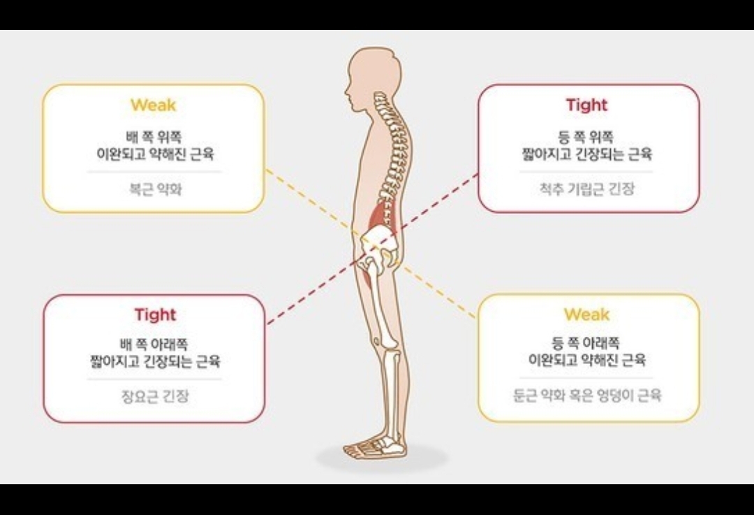 불당동인생마사지 photo 8