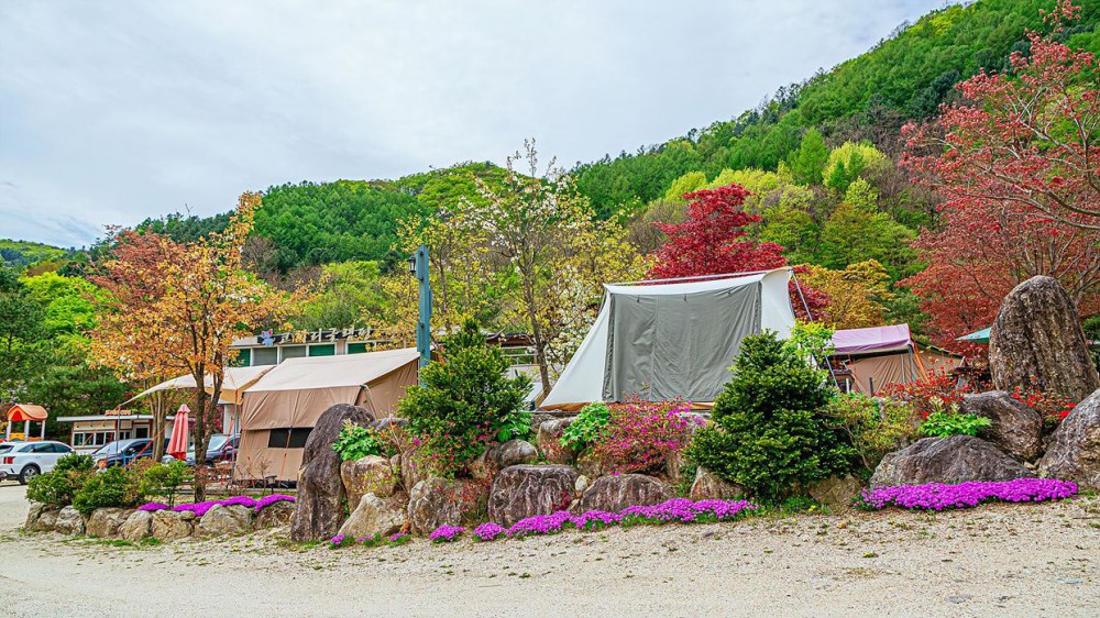 코끼리캠핑장