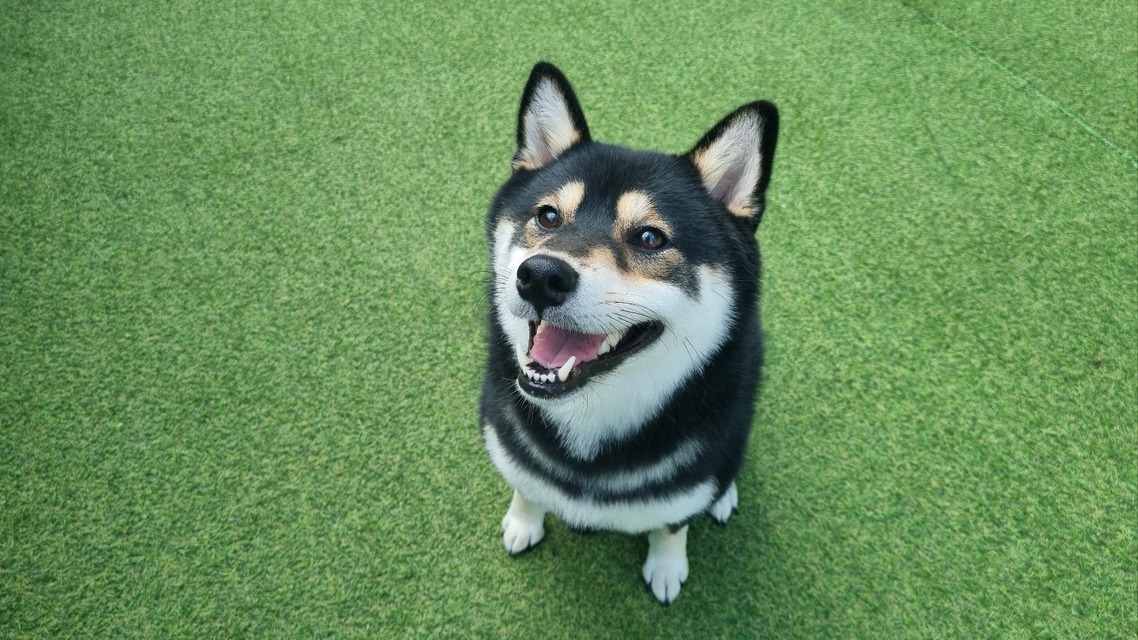 견학생스쿨