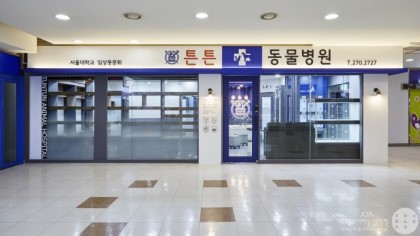 튼튼동물병원