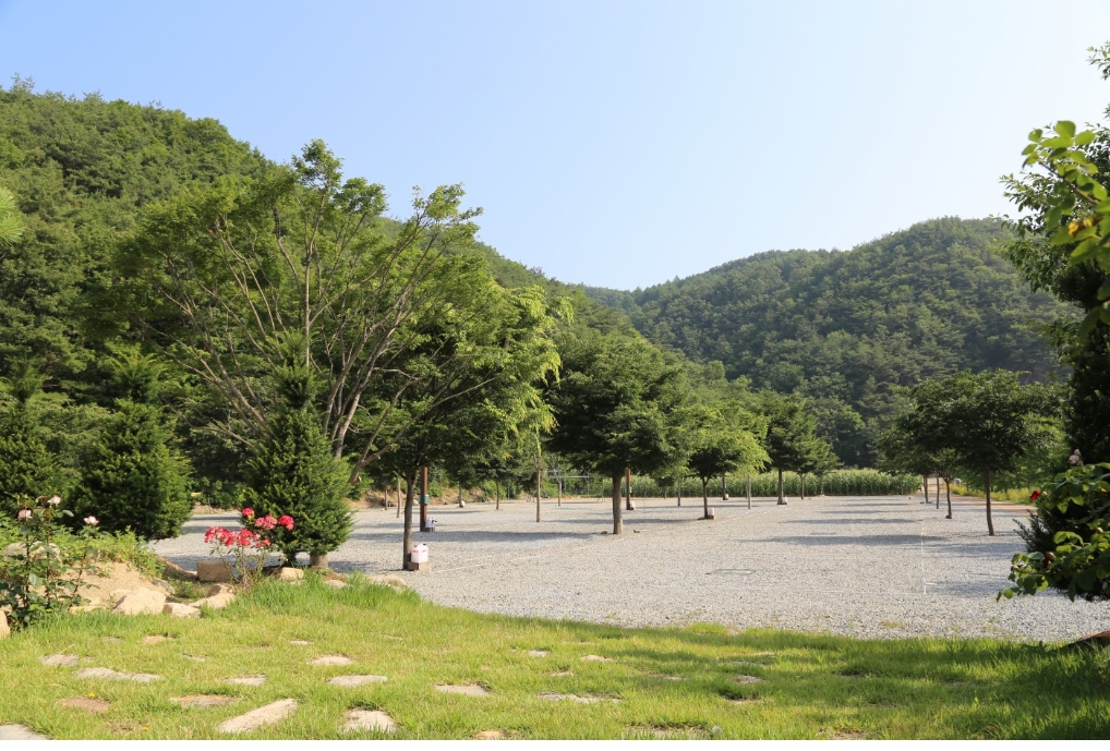 해바라기 캠핑장