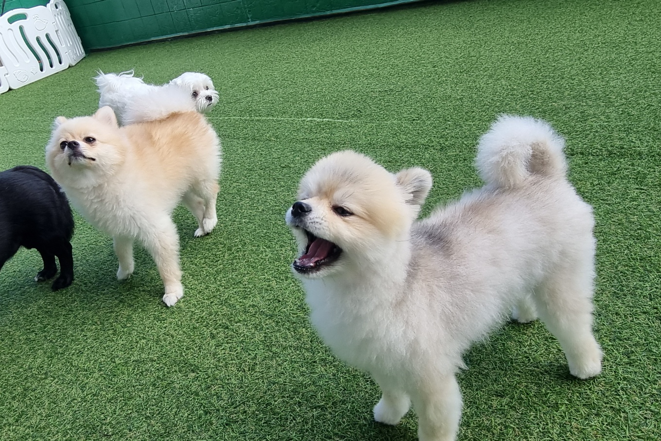견학생스쿨