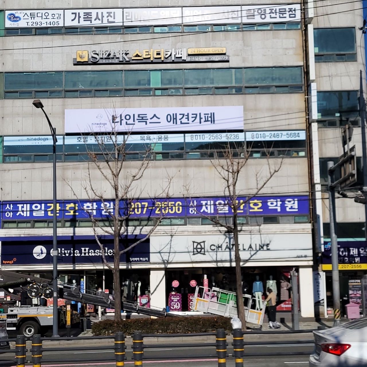나인독스 대표 이미지