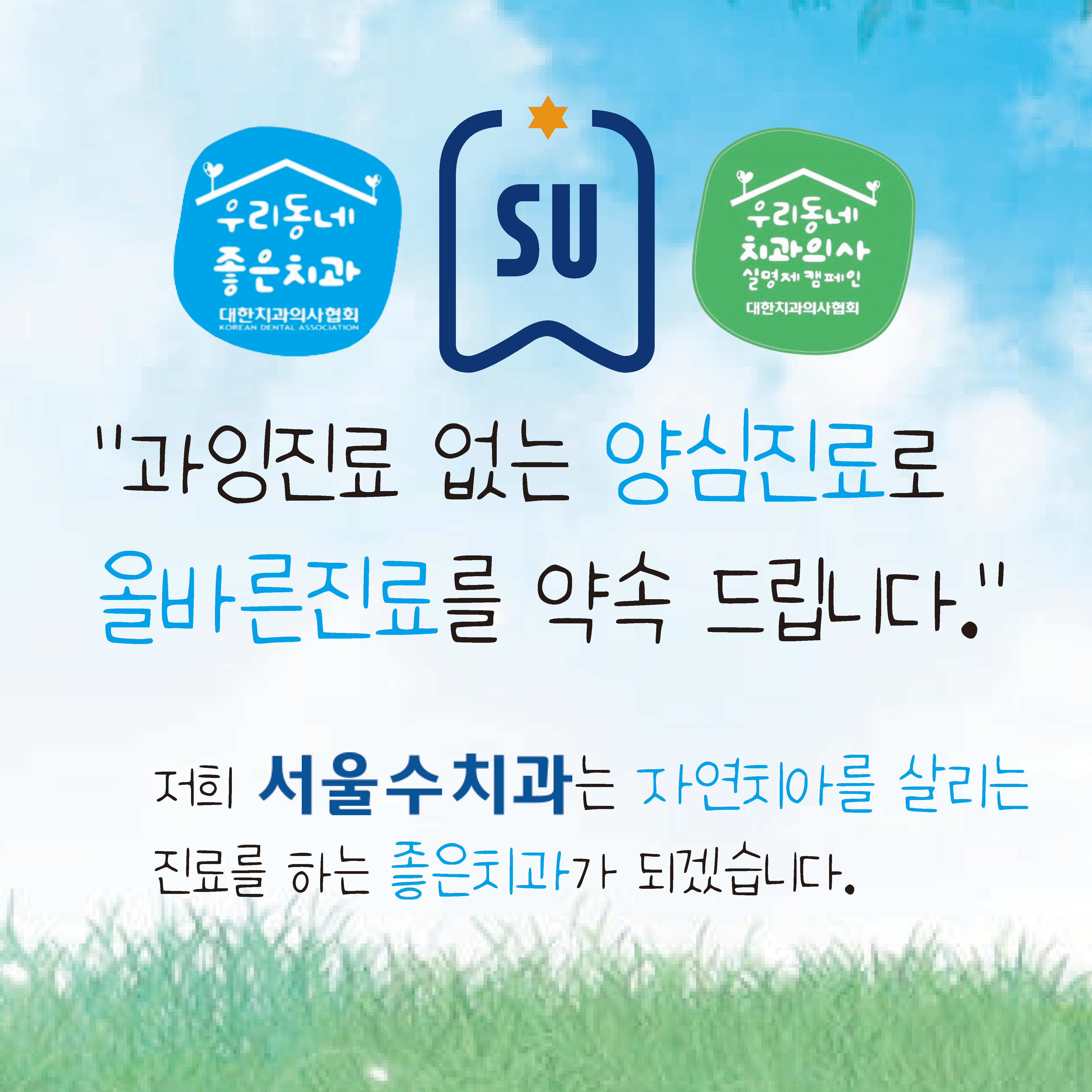 서울수치과의원