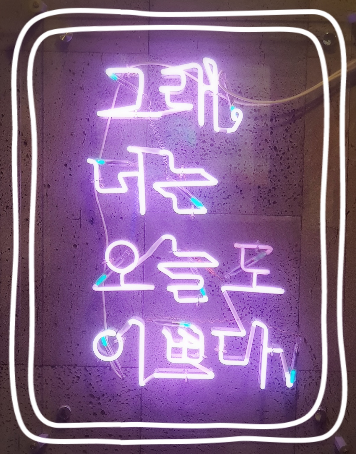 화장하는여우 photo 8