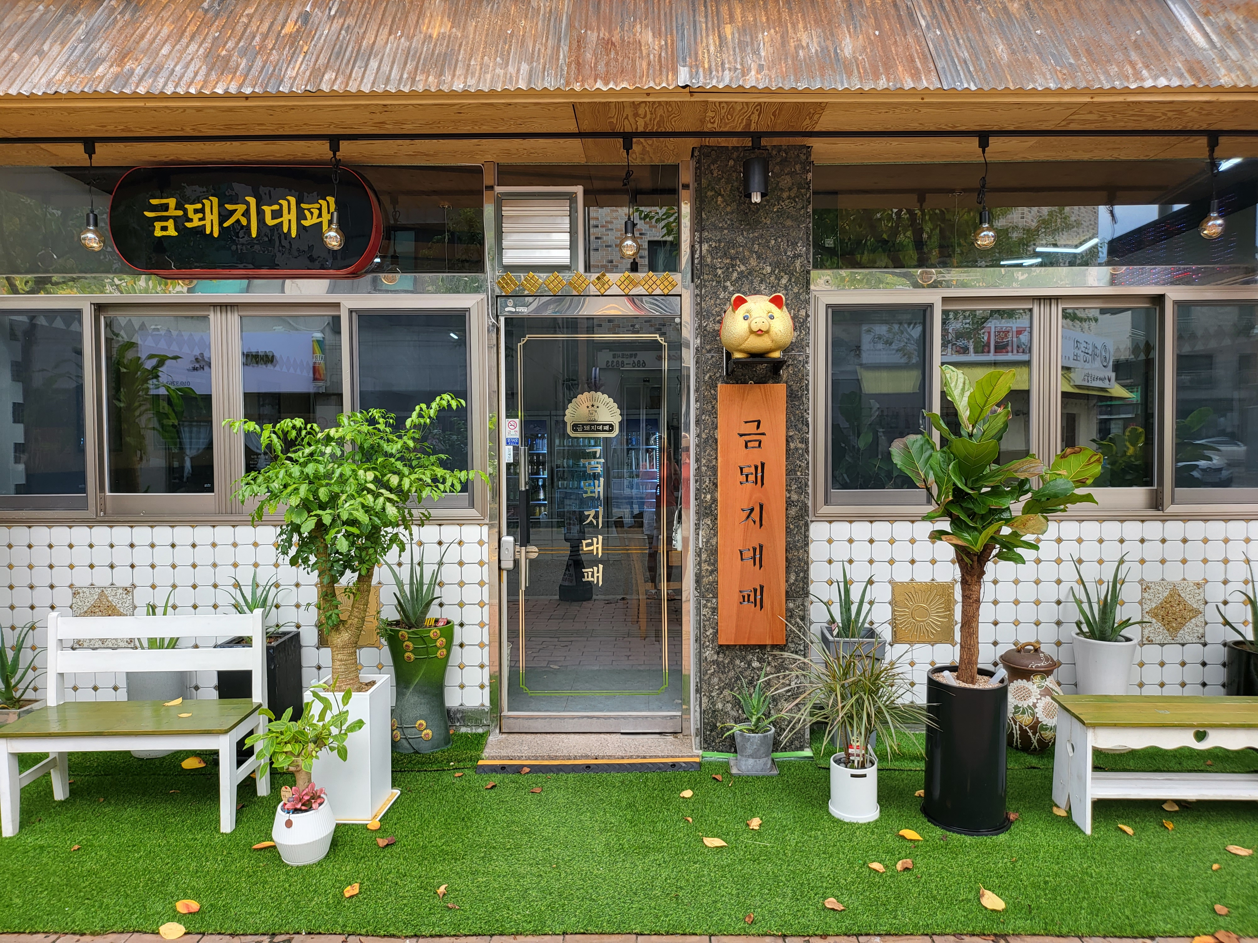 금돼지대패