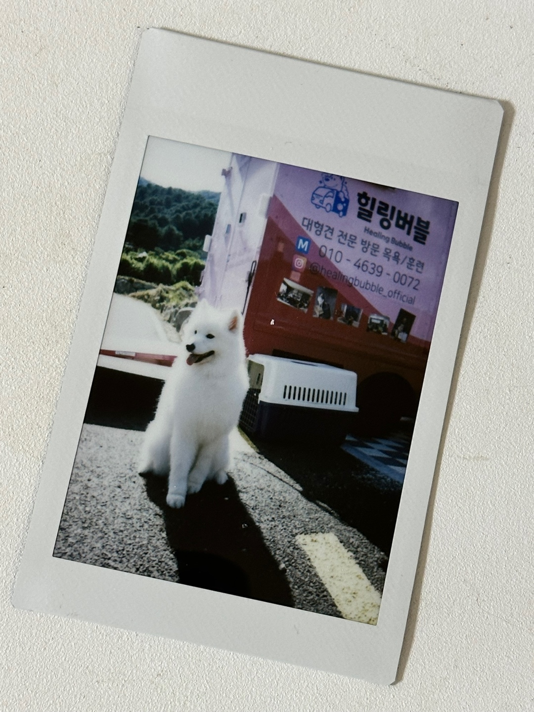 힐링버블 대표 이미지