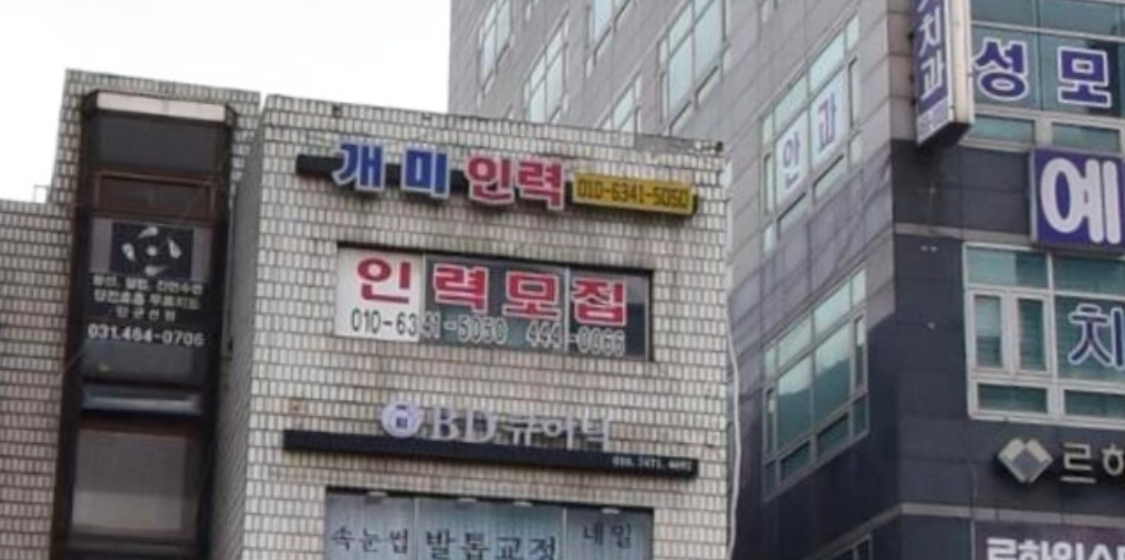 개미인력
