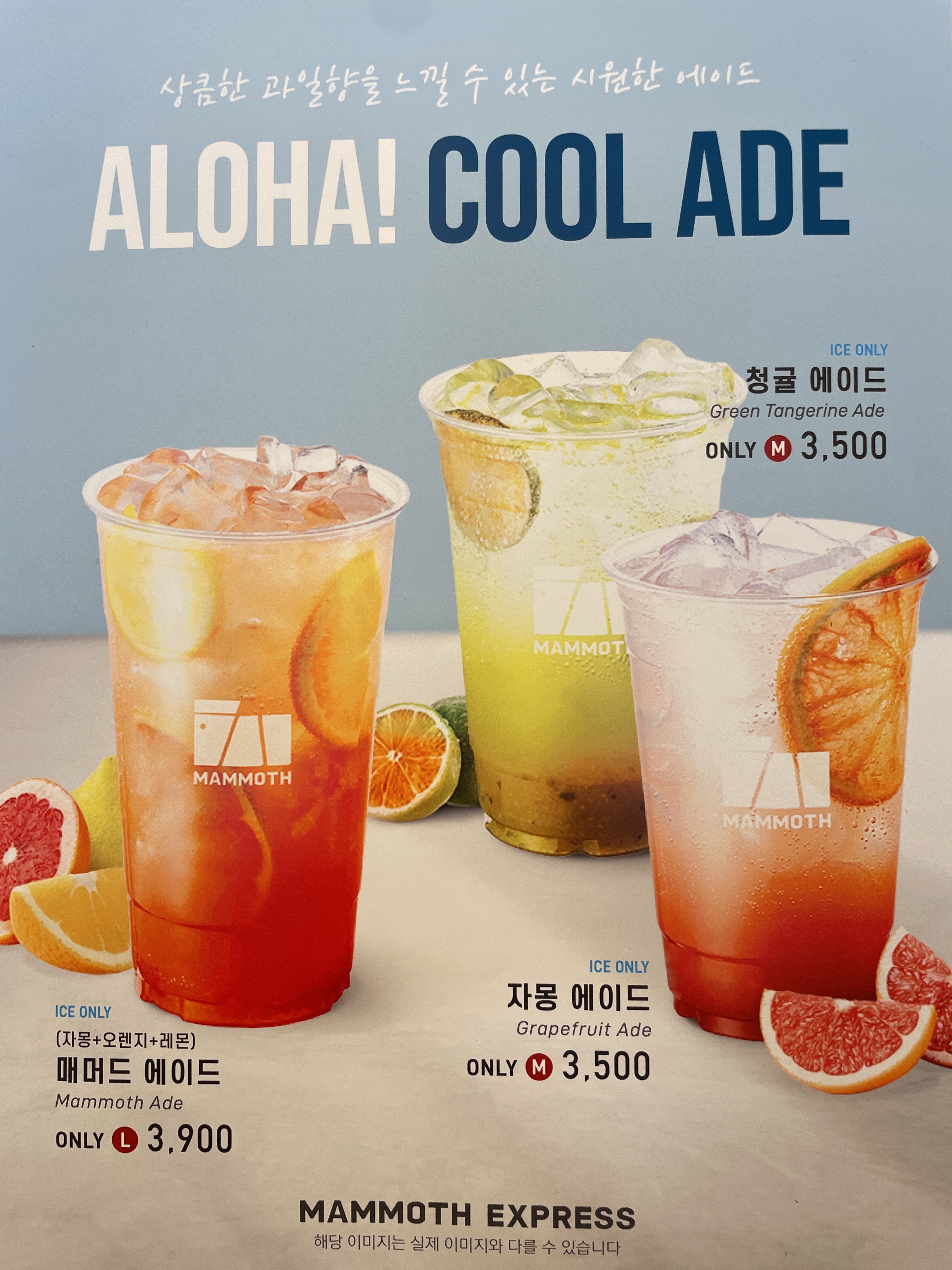 매머드익스프레스 보라매역부광약품점