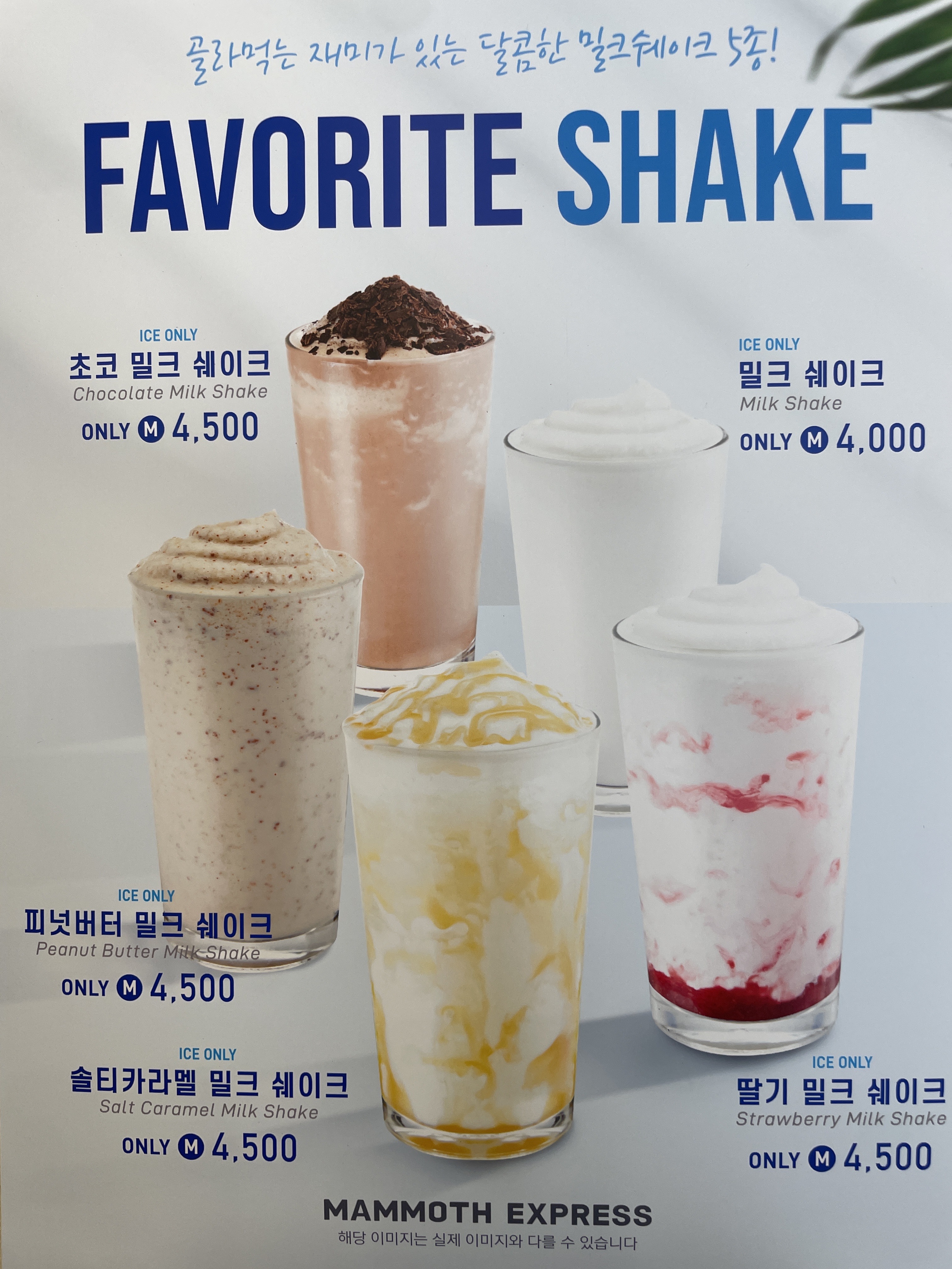 매머드익스프레스 보라매역부광약품점