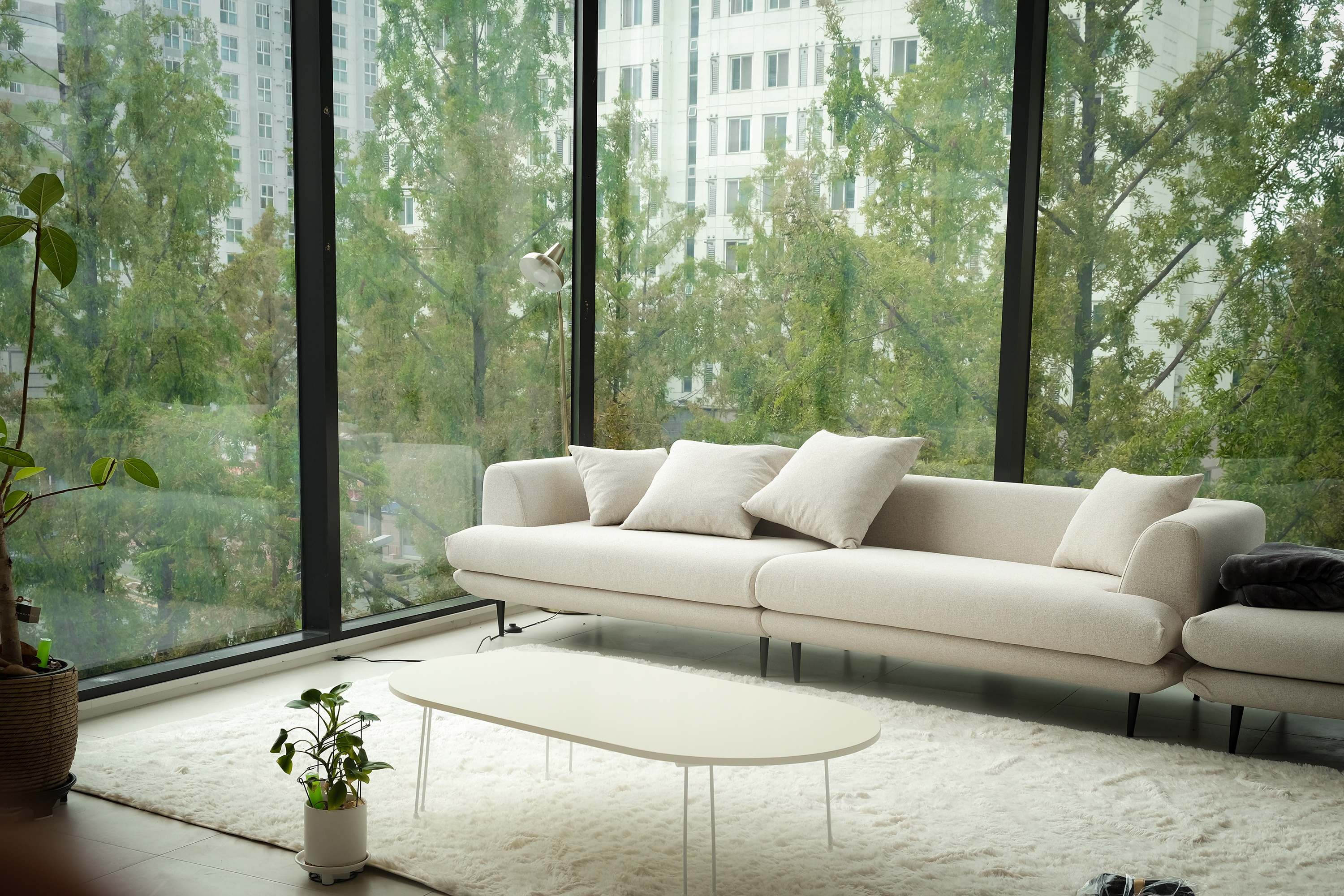 아리씨스튜디오