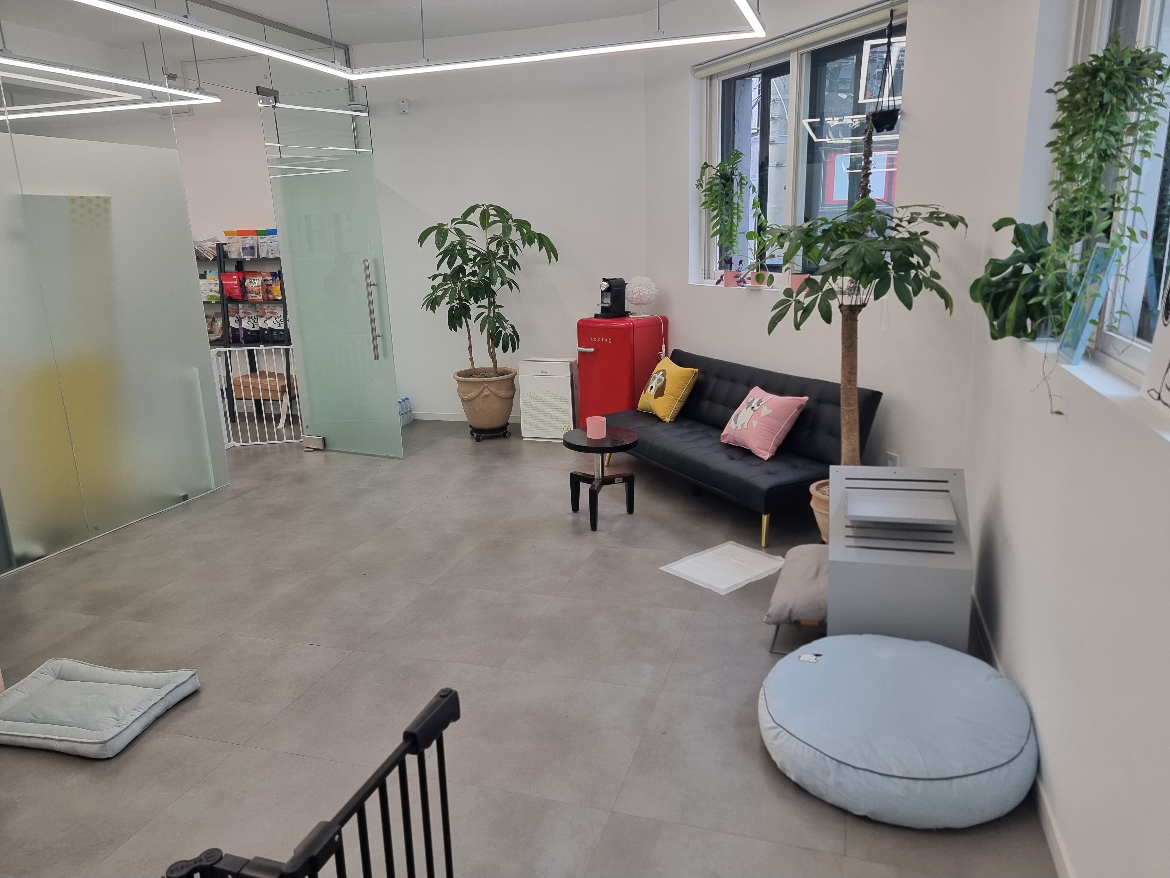 도기도기 대표 이미지