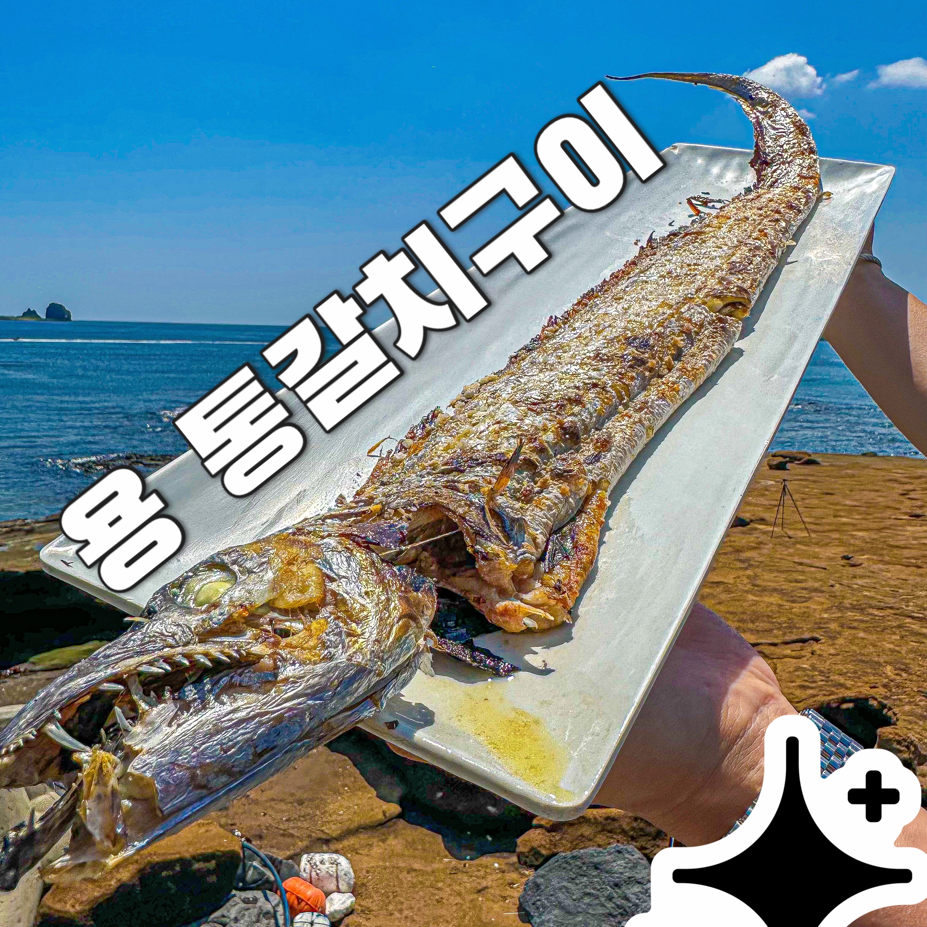 펜캠2495체험학교 10