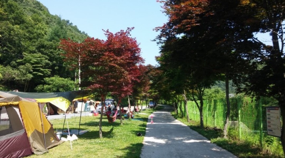 벌곡산속캠핑장