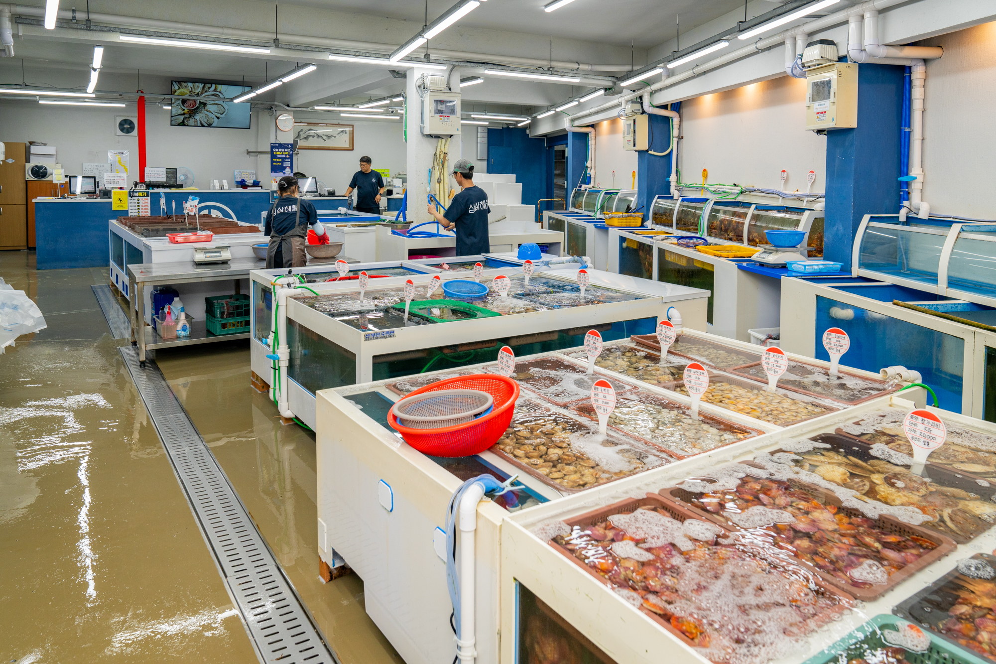 삼삼해물 옥포수산센터