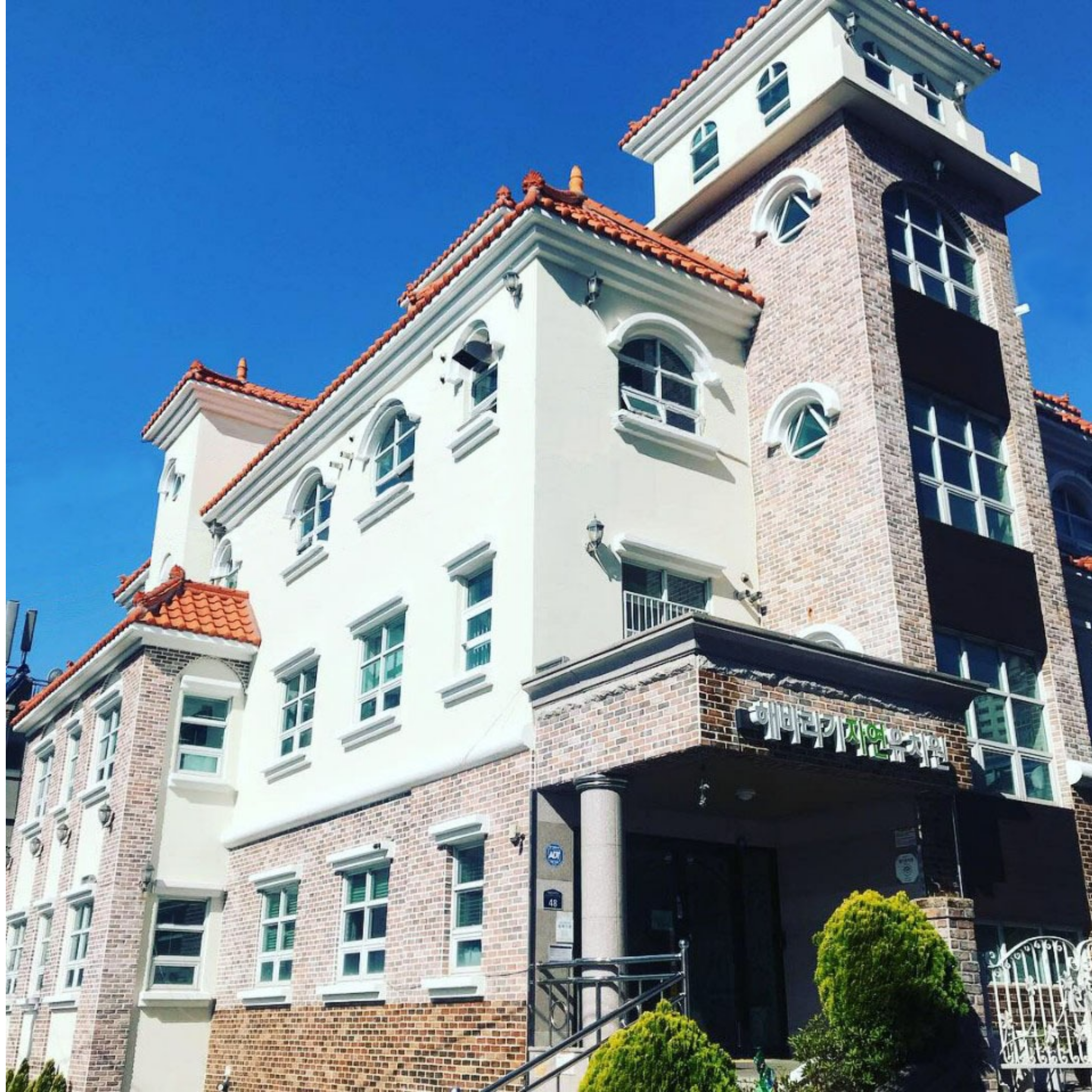 해바라기자연유치원