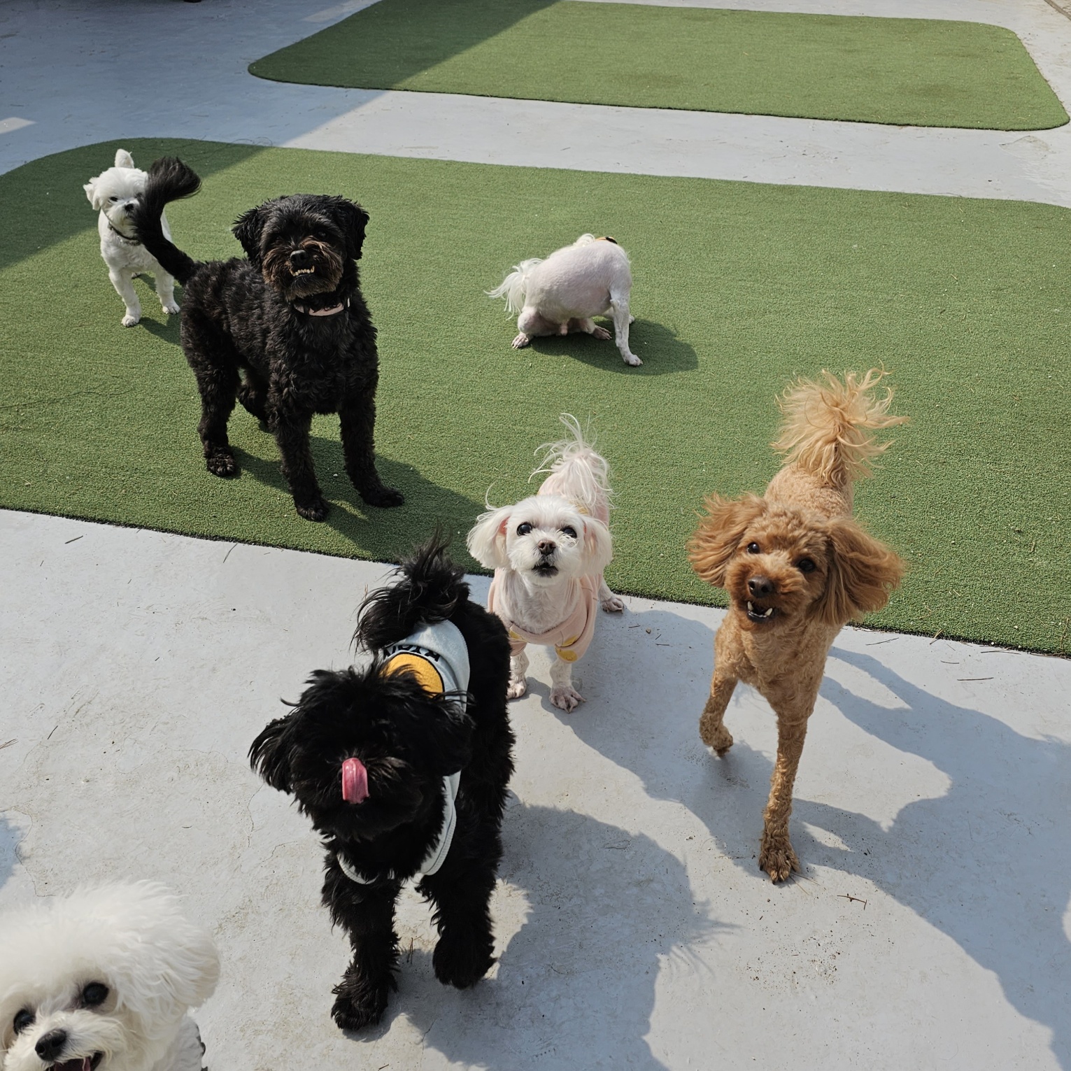 엄마 잘다녀와 대표 이미지