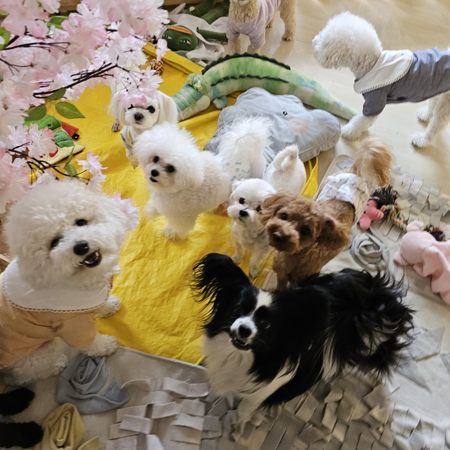 엄마 잘다녀와 대표 이미지