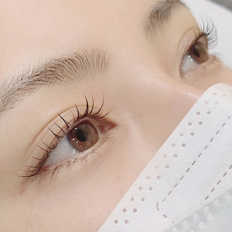 앨리스브로우&속눈썹펌 양재점 대표 이미지