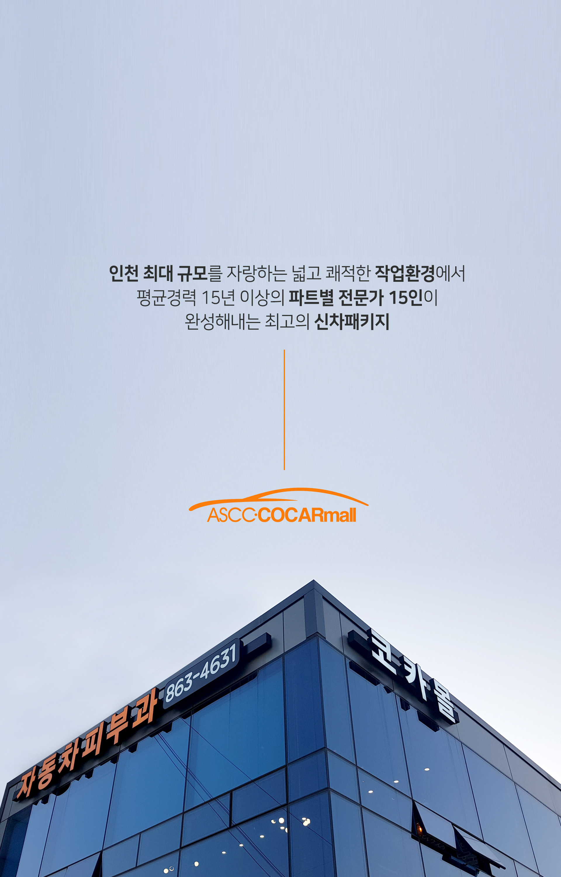 코카몰