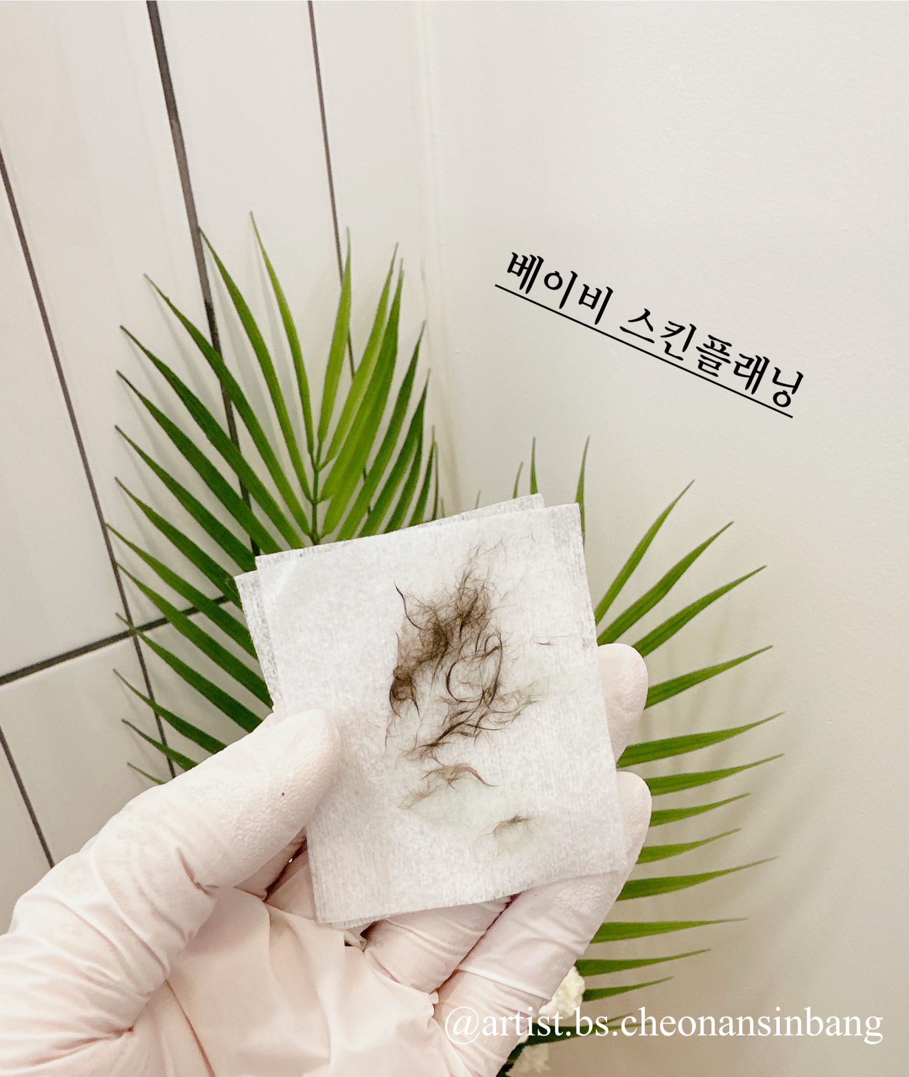 아티스트비에스 천안신방점 대표 이미지