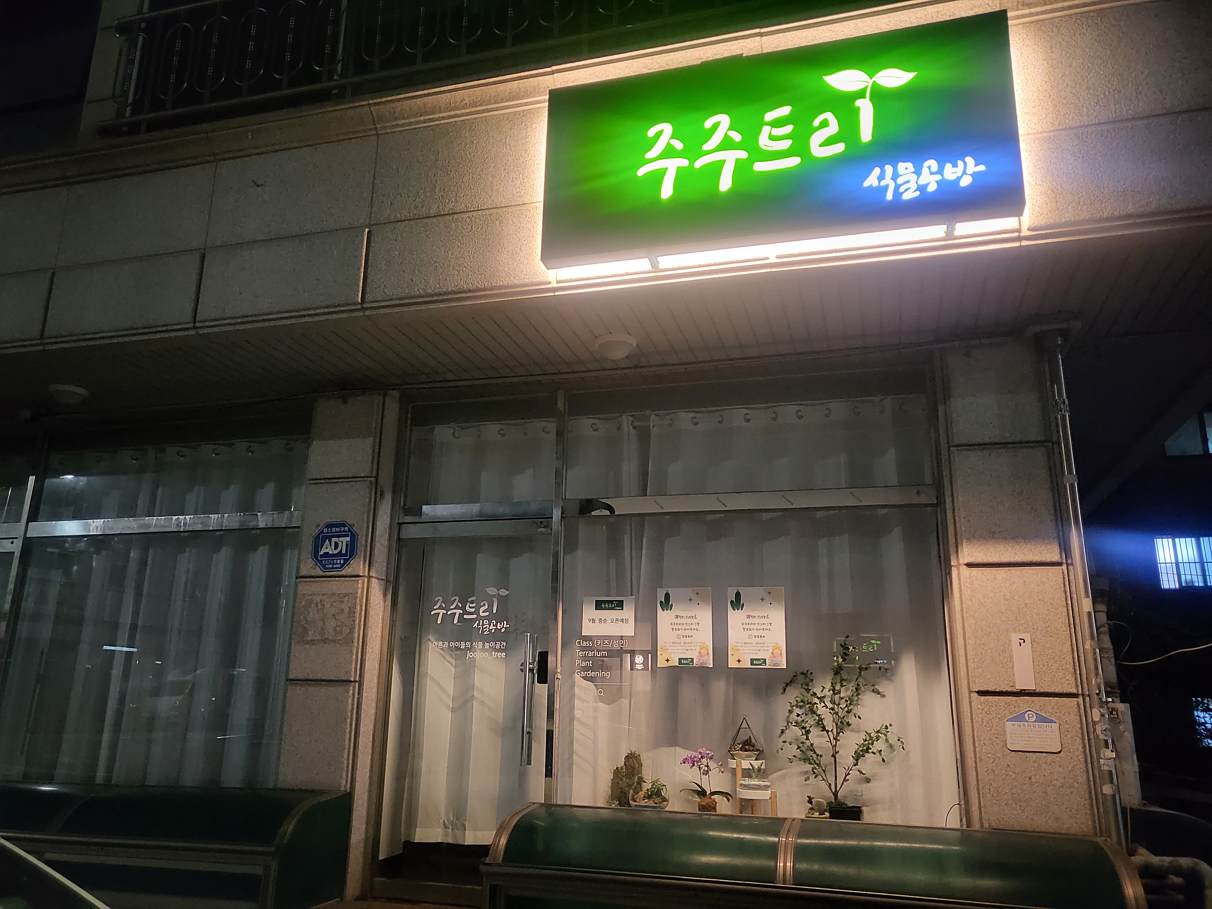 주주트리
