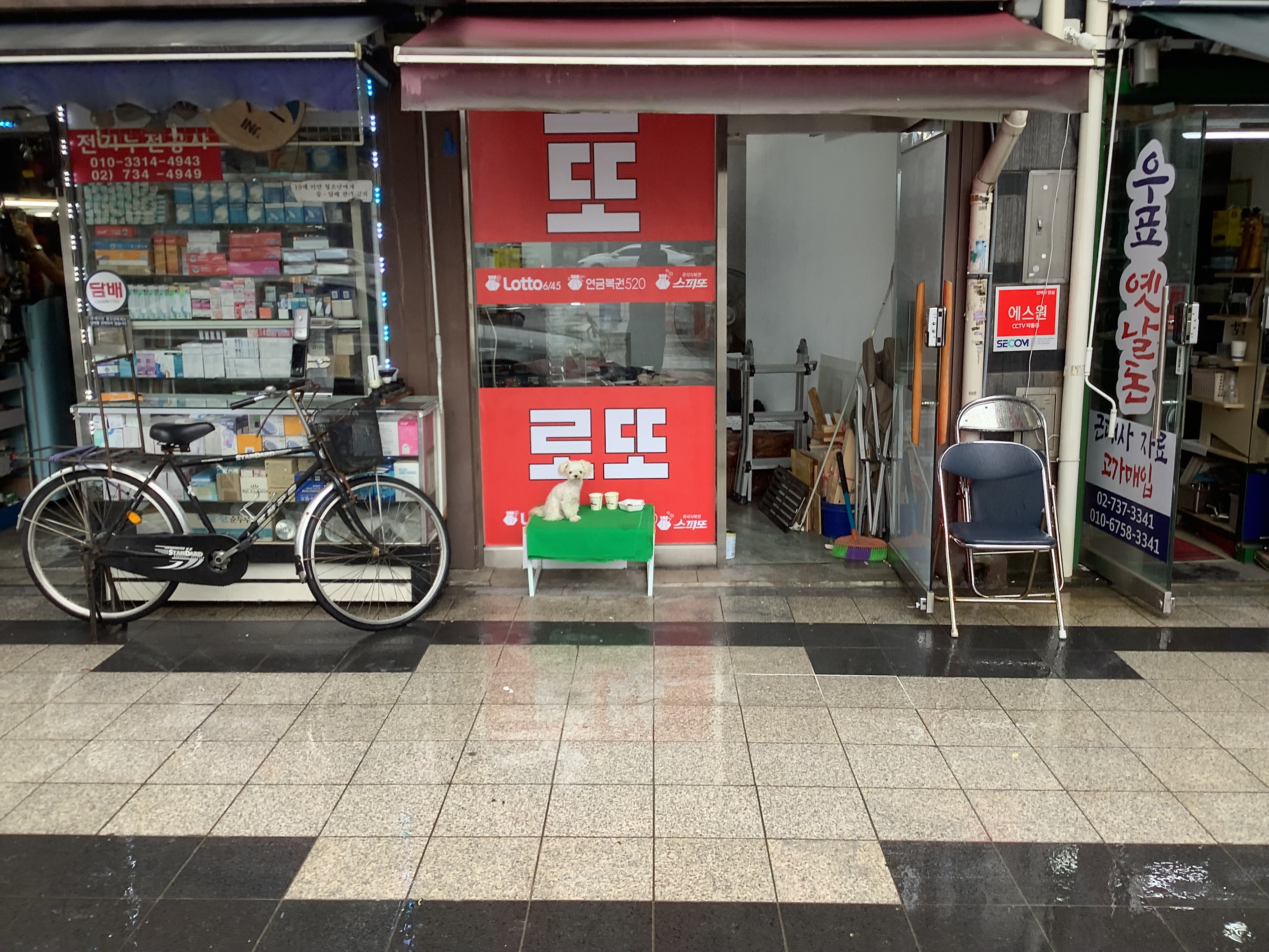 성호유통