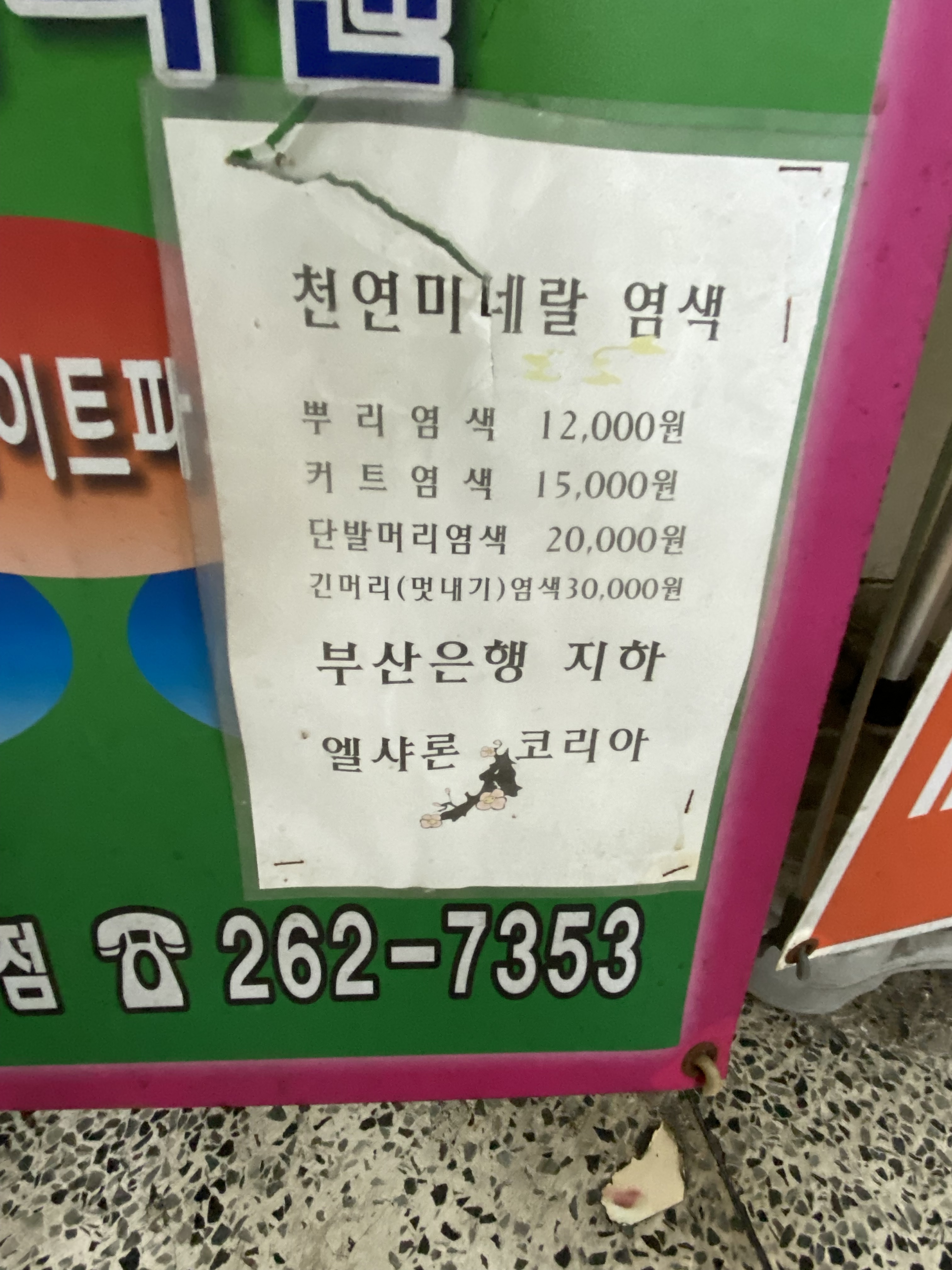 엘샤론코리아
