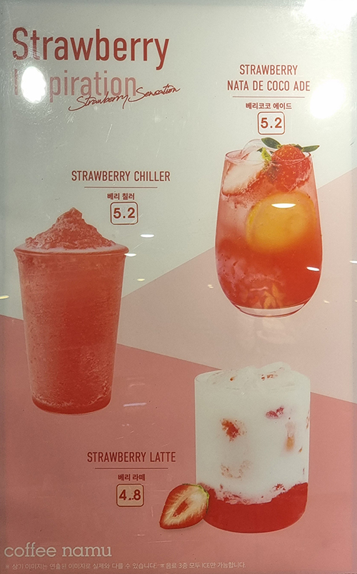 커피나무 4