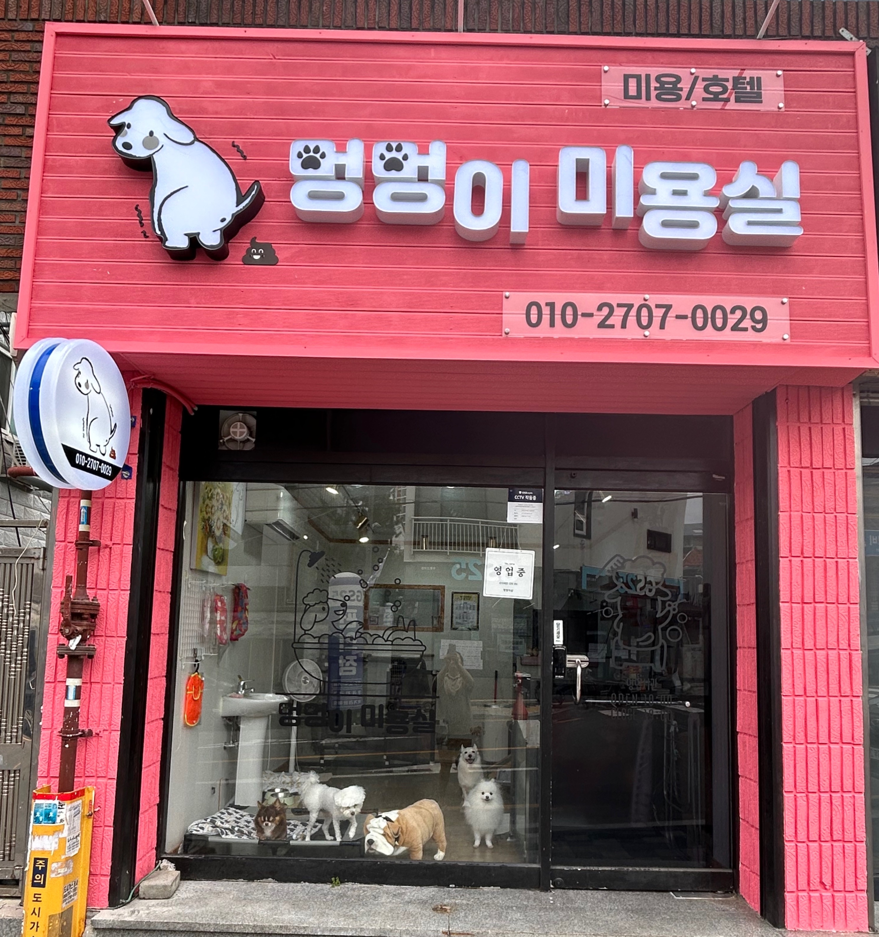 멍멍이미용실 대표 이미지