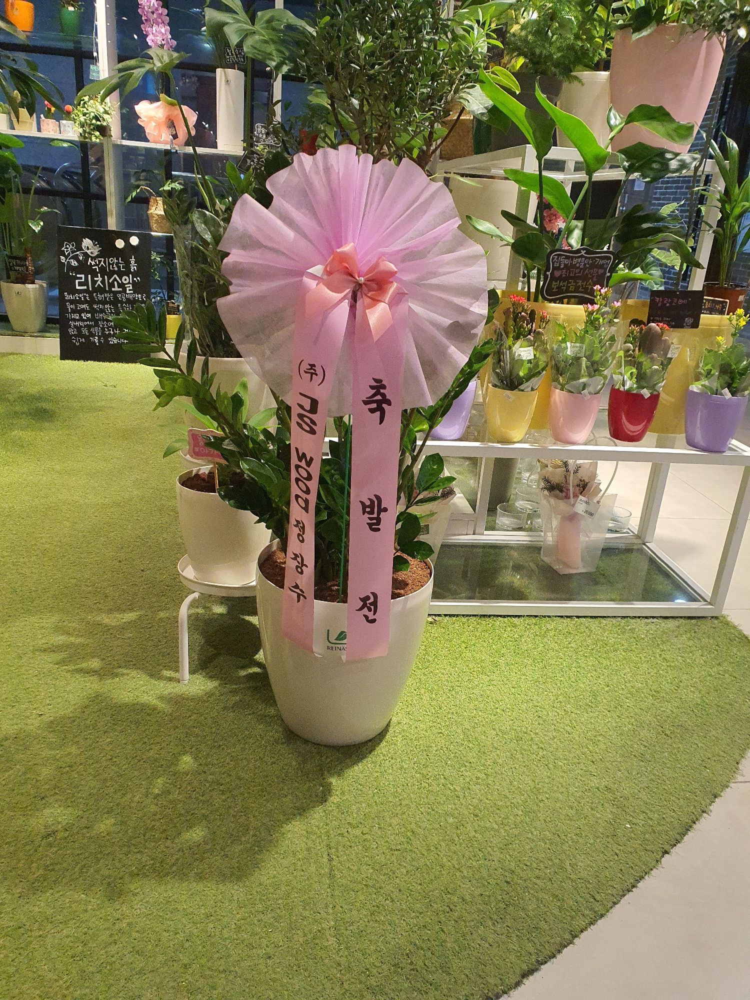 라이네쎄 AK플라자수원점